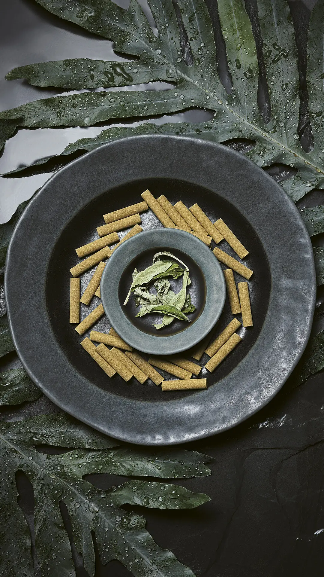 三伏天艾灸 三九天不生病 - Screenshot 1