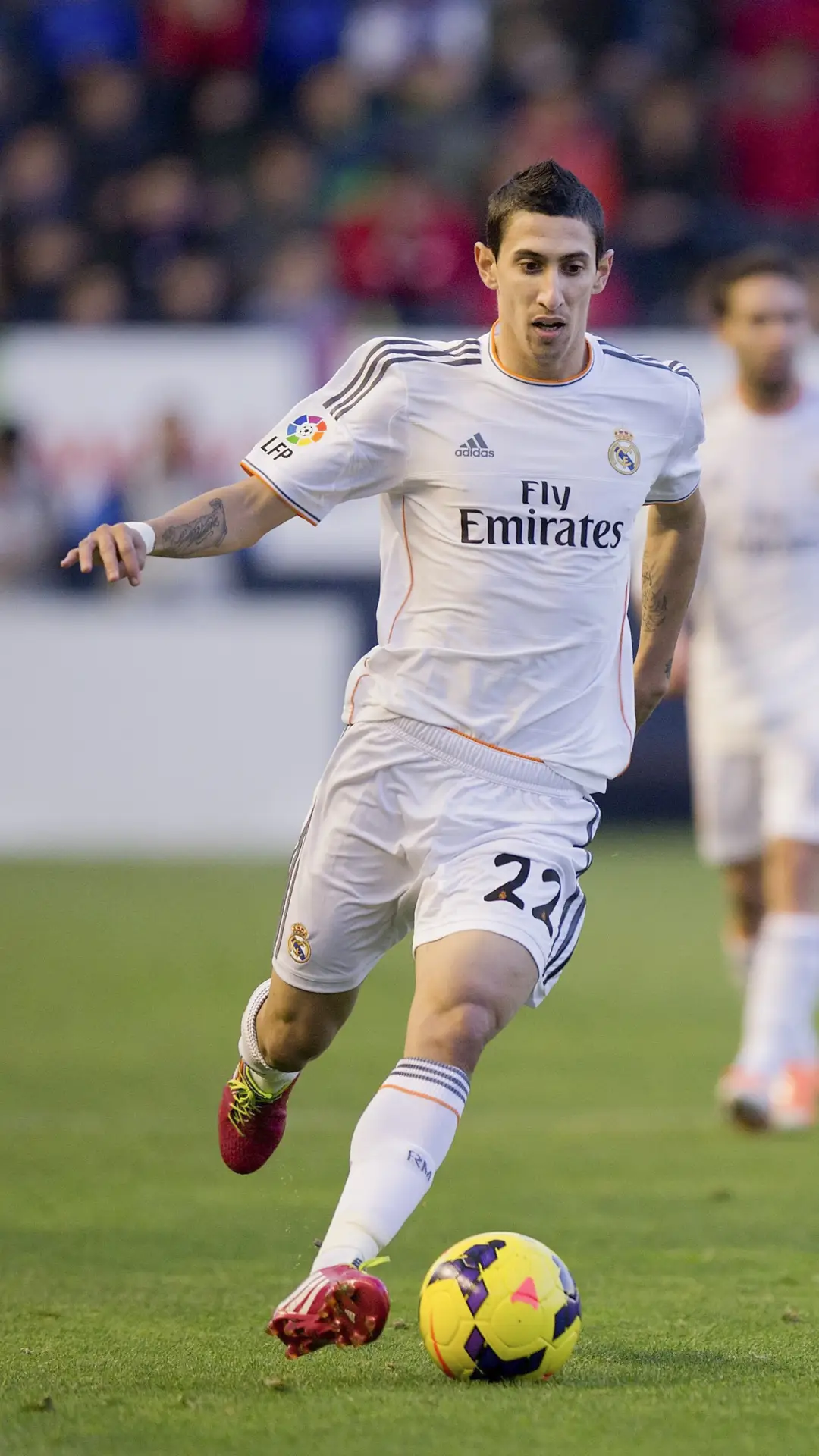 天使之翼迪马利亚