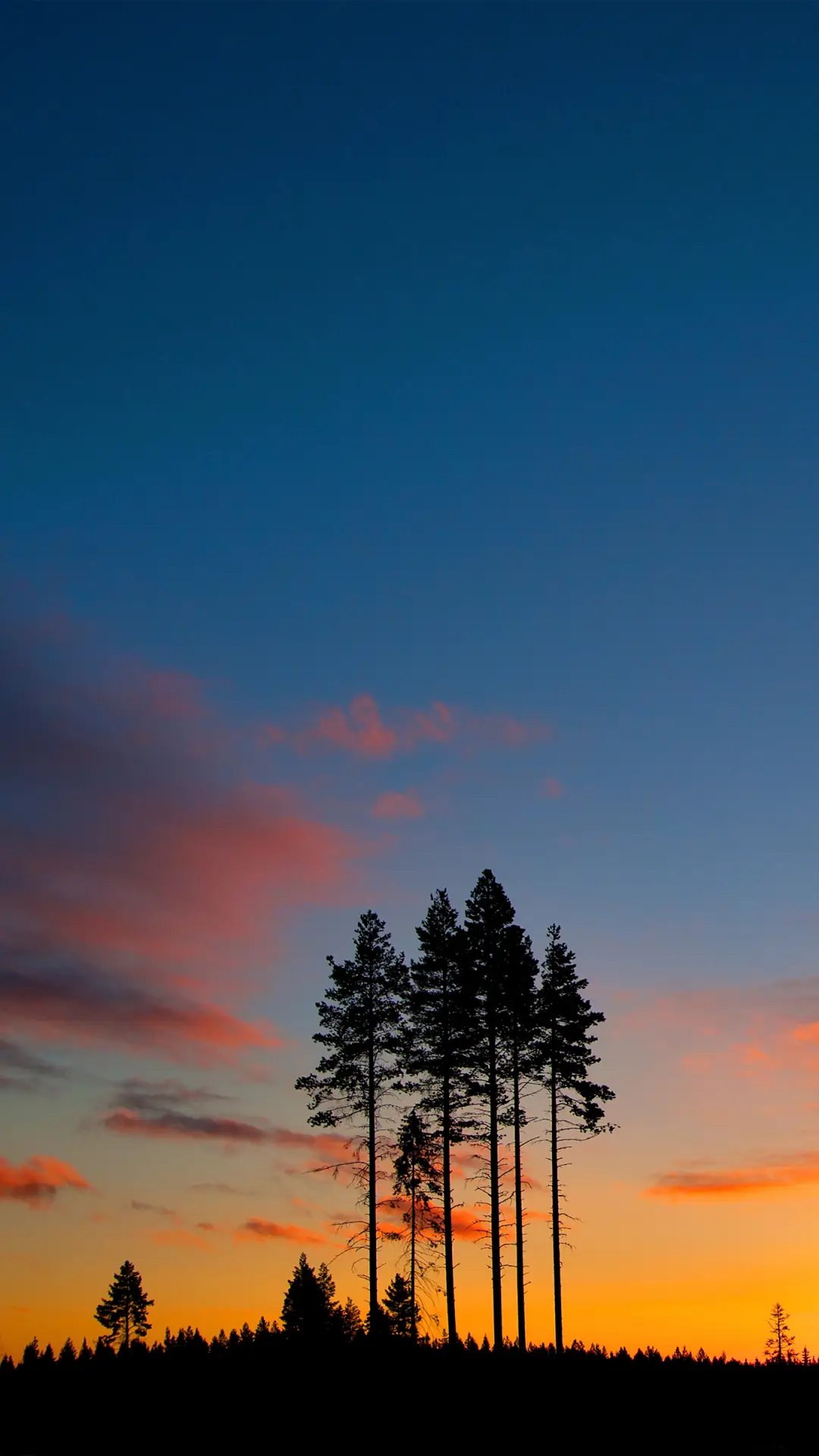 极简美学-拍信图库 - Screenshot 1