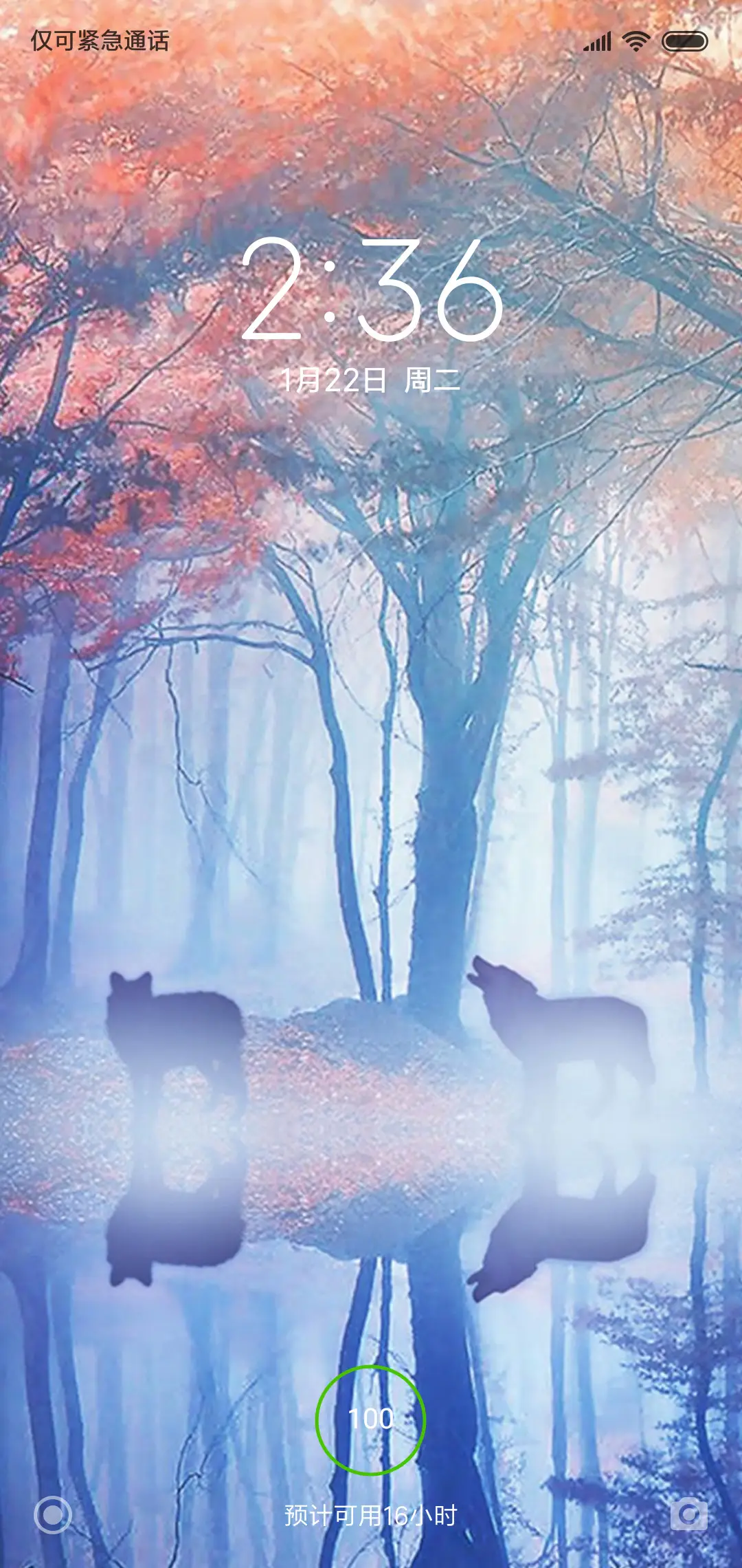 奇幻深林 - Screenshot 1