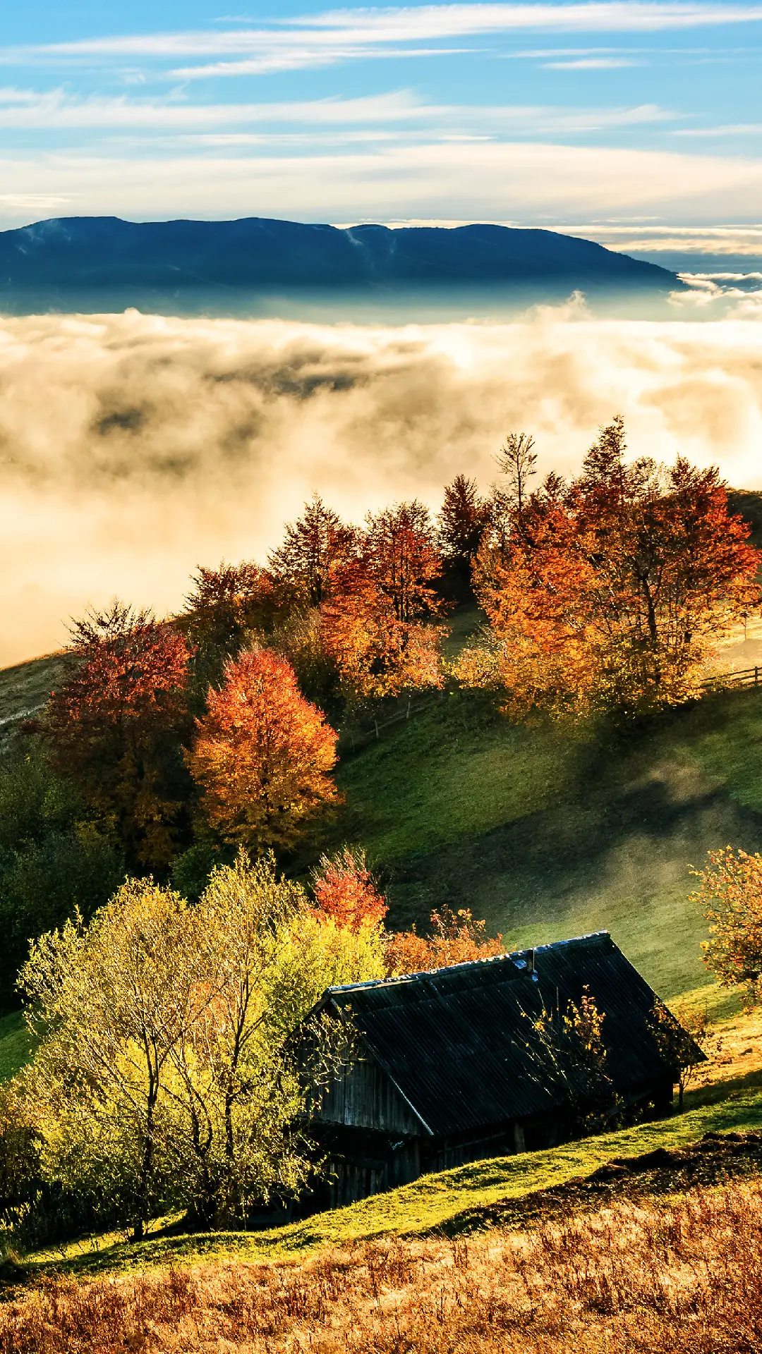 纽约时报2017推荐书单
