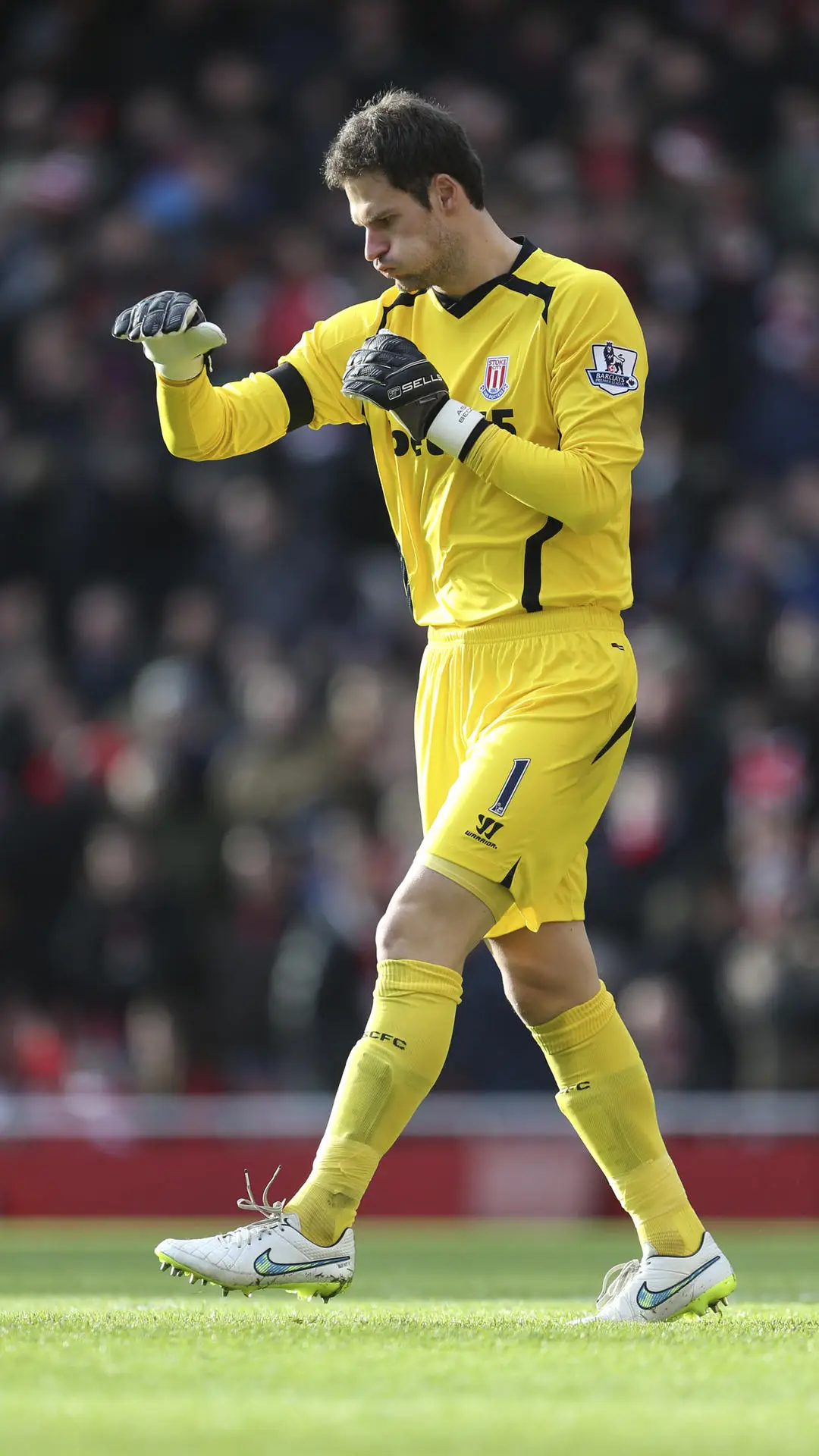 终结者贝戈维奇 - Screenshot 1