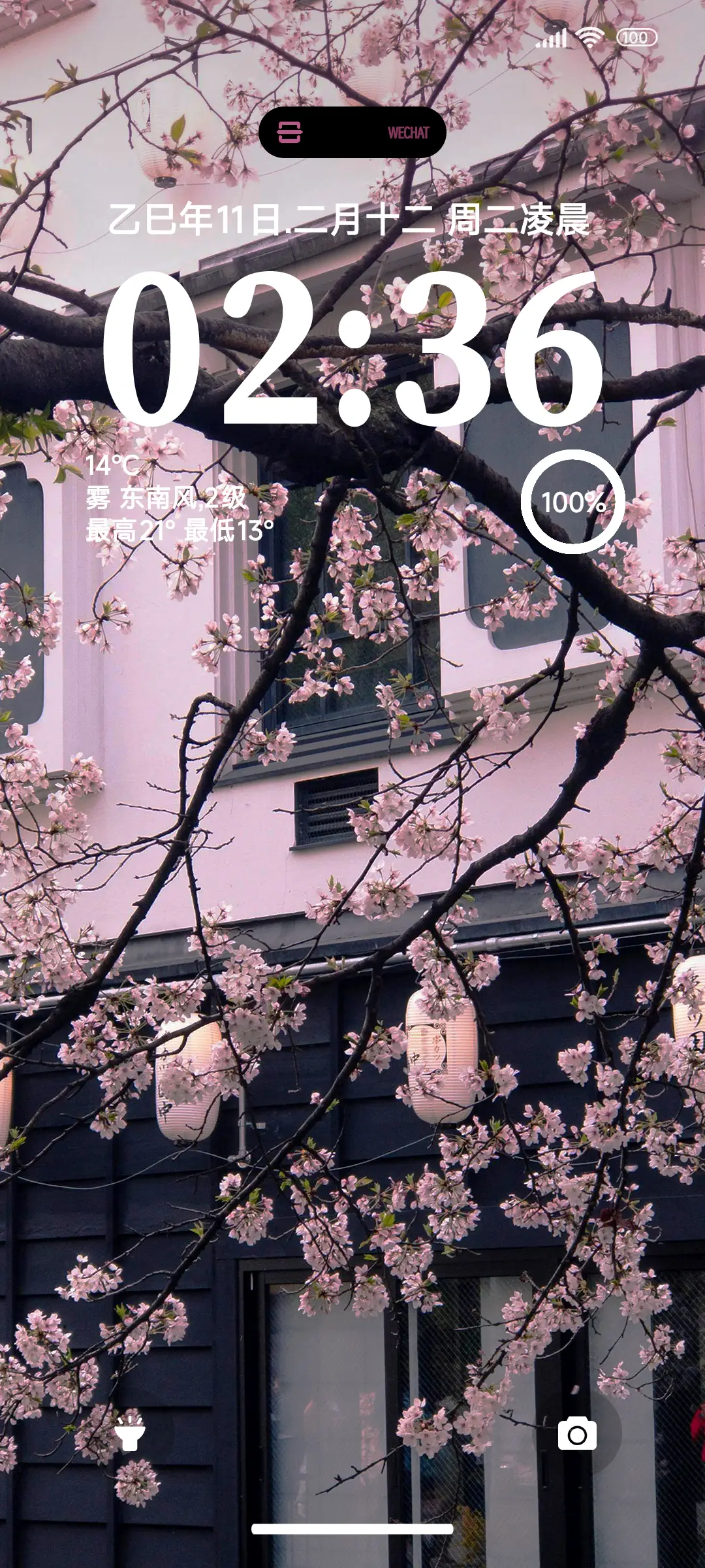 简约花落 - Screenshot 1