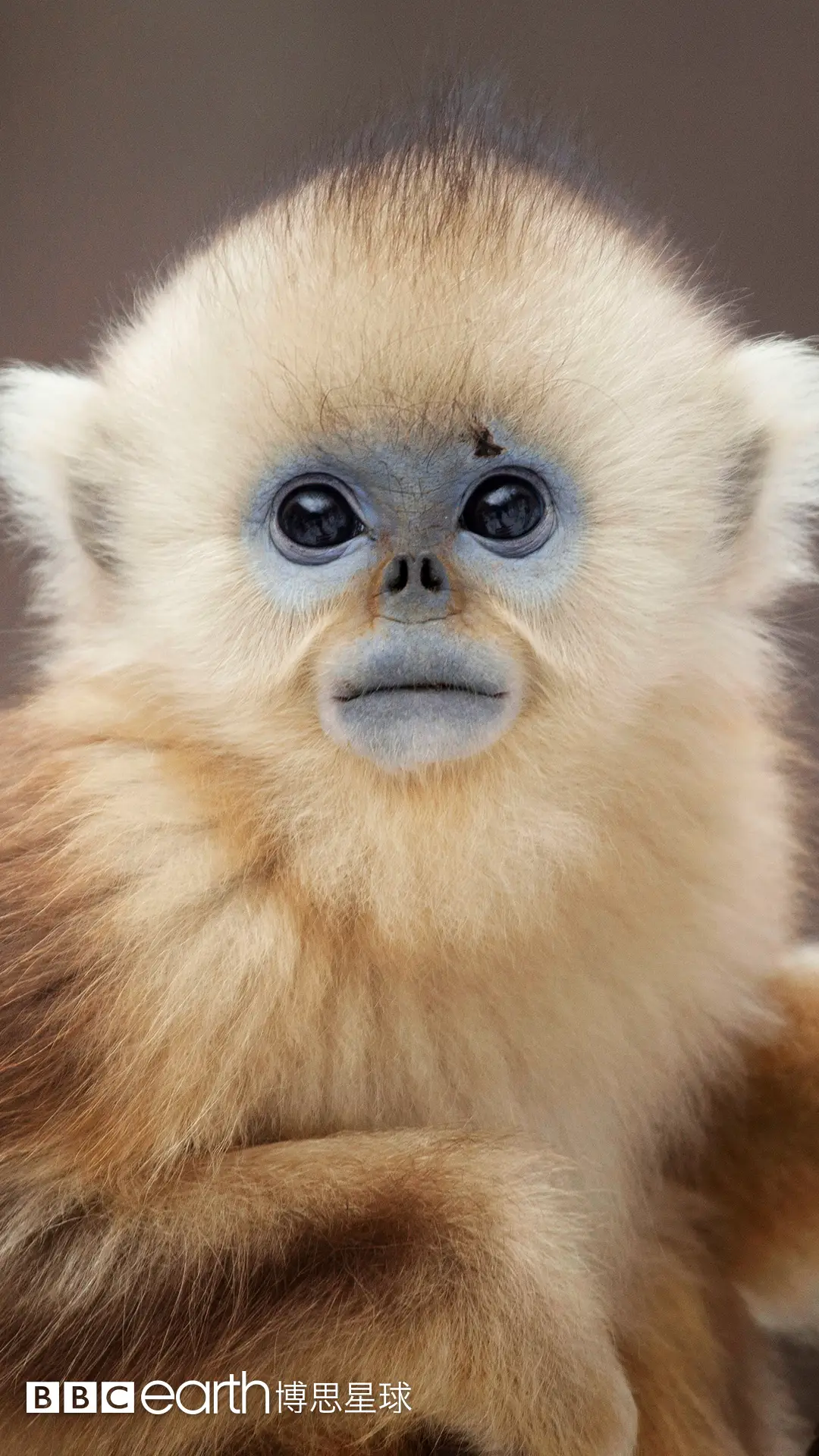 七个世界 一个星球  - Screenshot 1