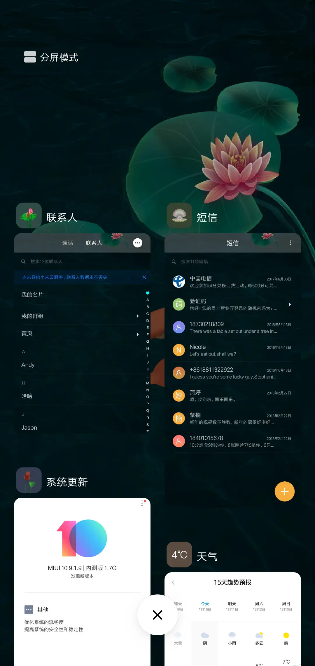锦鲤 - Screenshot 4