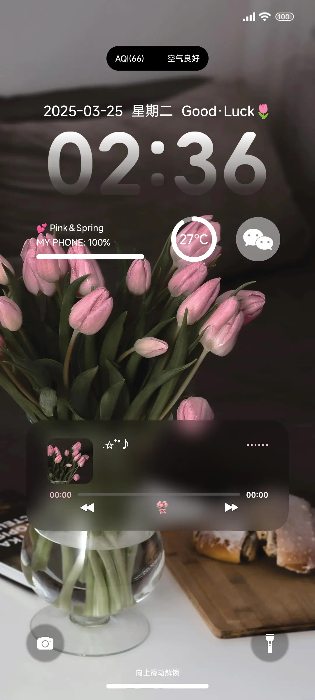 ins粉色郁金香 - Screenshot 1