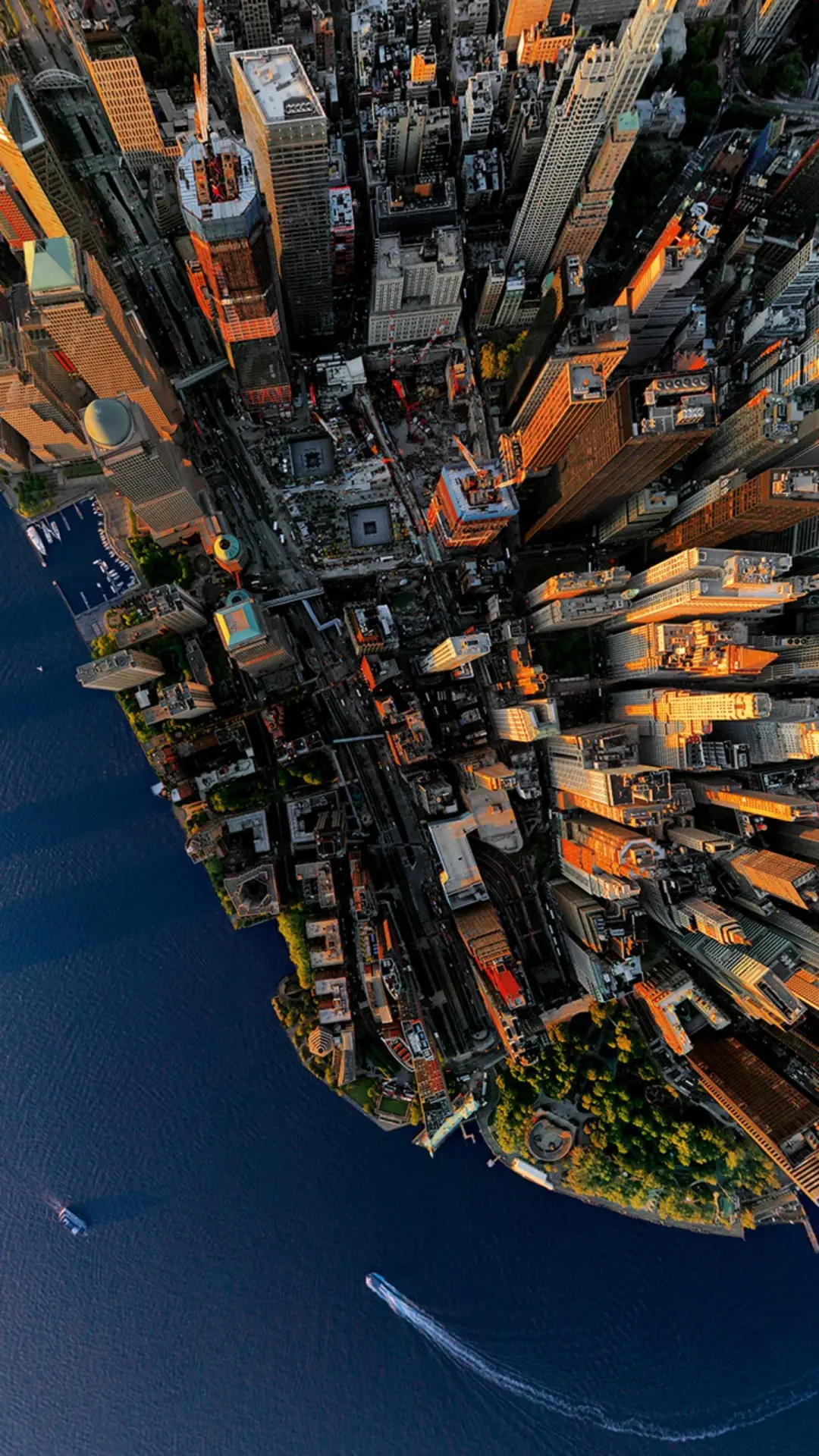 翱翔于城市之上