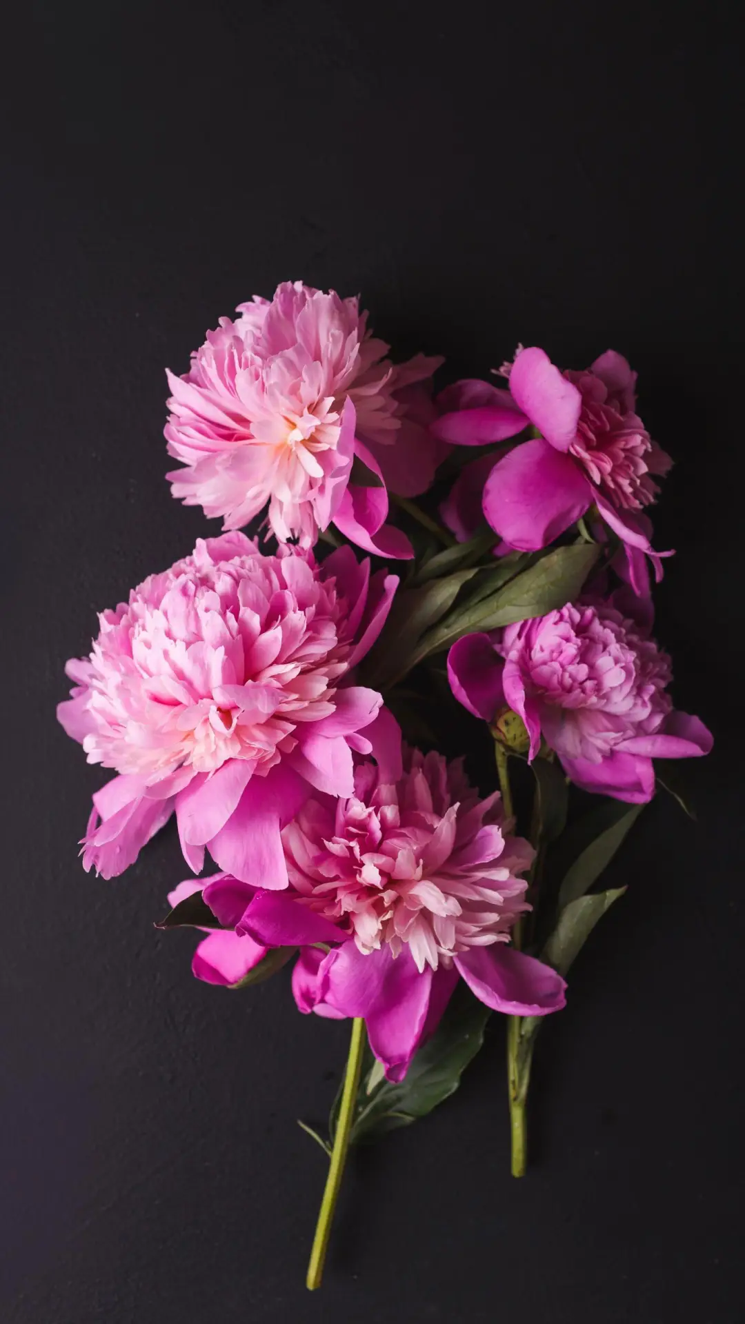 真诚是人之根本