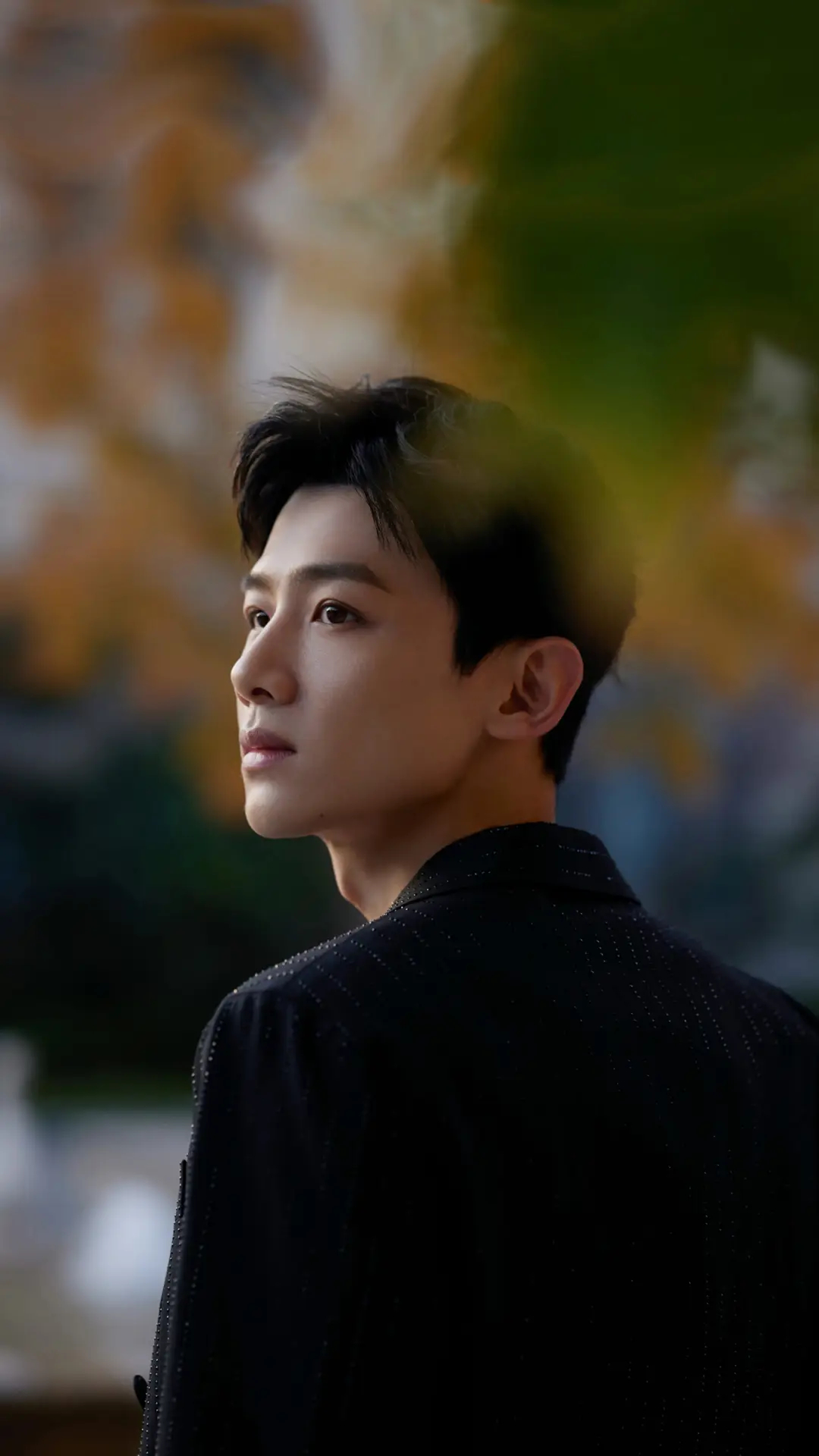 白敬亭的蜕变之路 - Screenshot 1