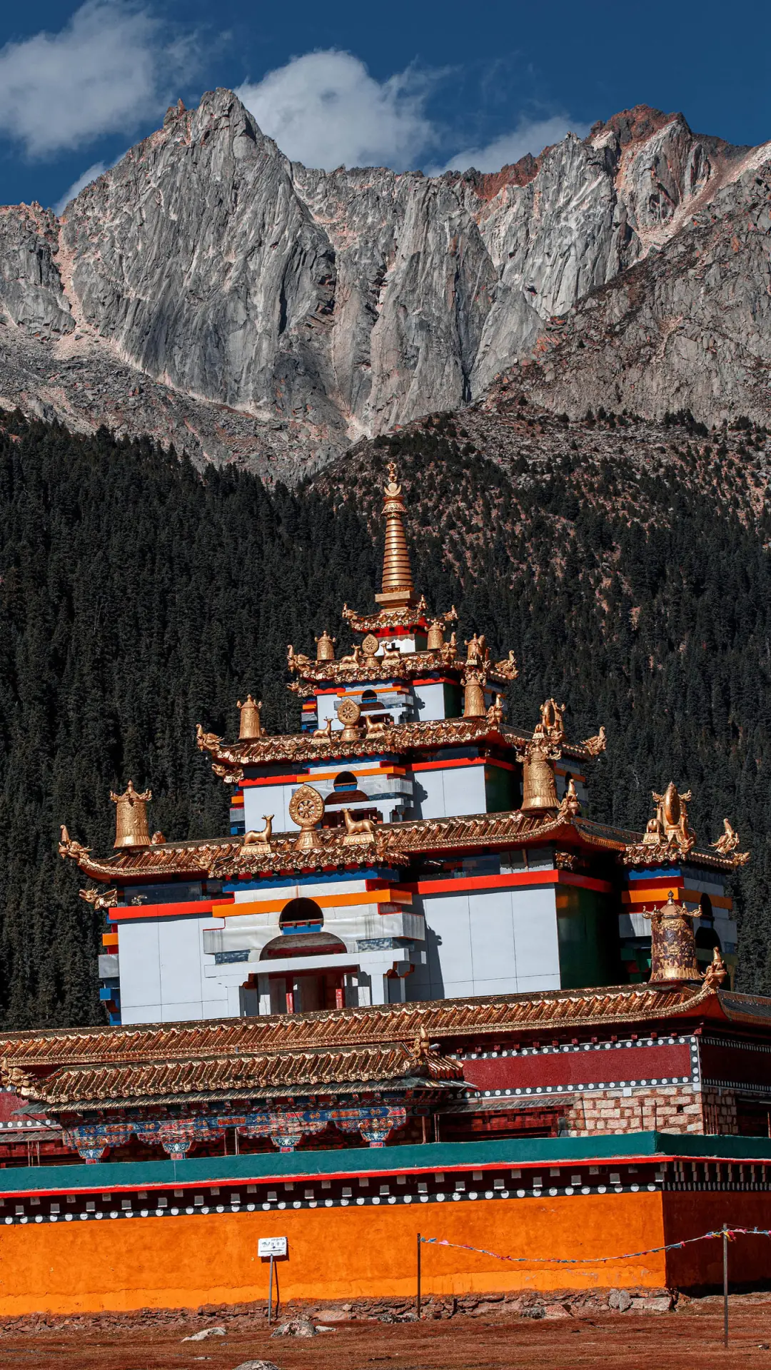 意外走红的理塘 - Screenshot 1