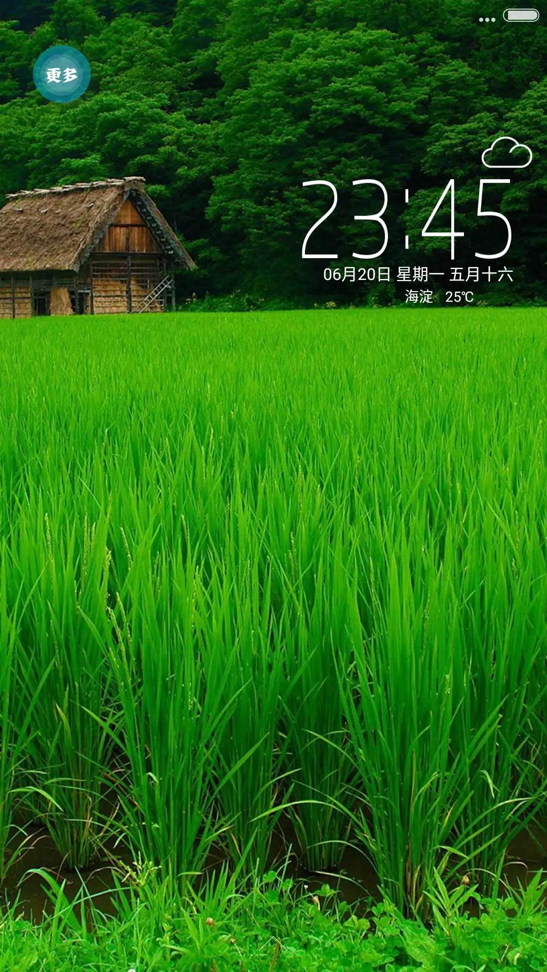 清爽夏天万物生长