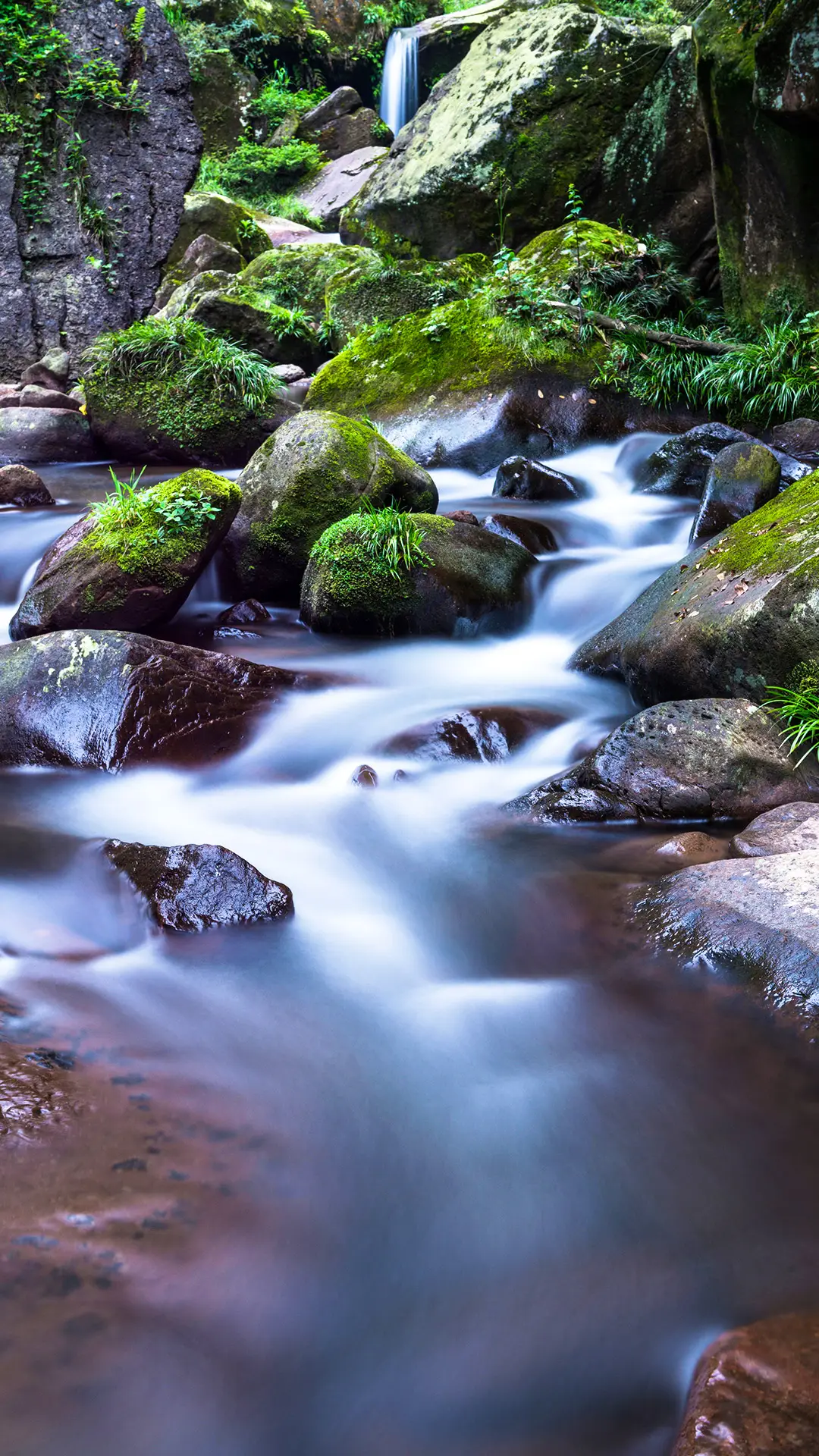 古韵芙蓉城 - Screenshot 1