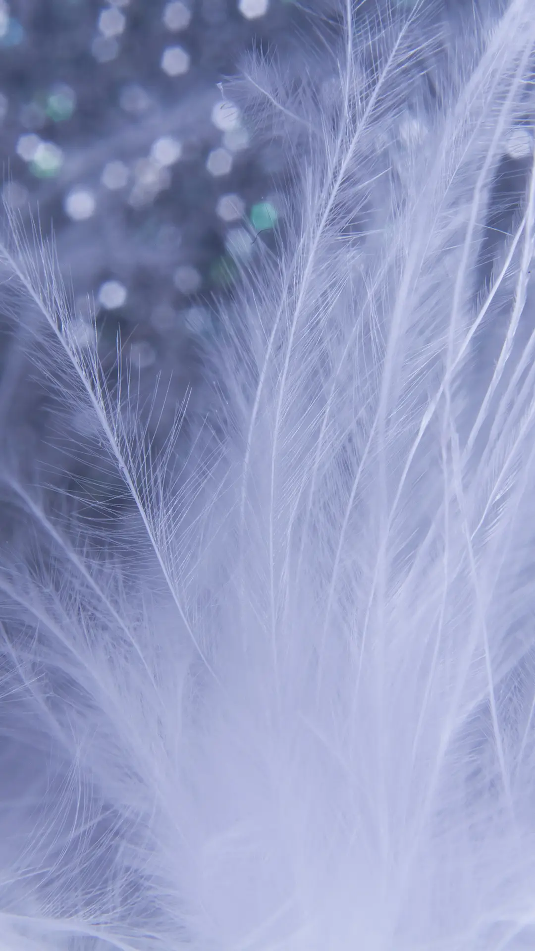 梦幻羽毛-拍信图库