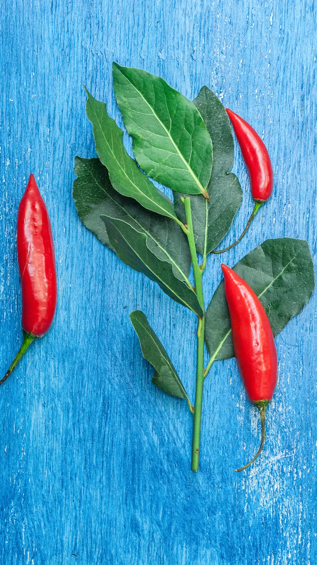 美食-【视觉中国】 (2)