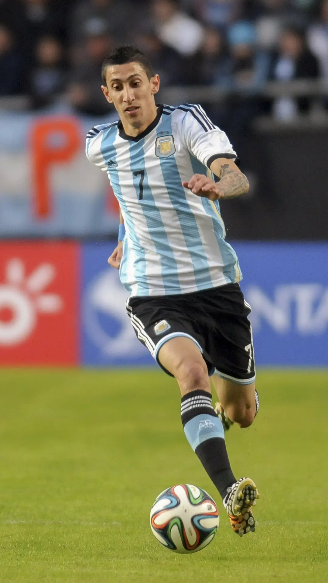 天使之翼迪马利亚