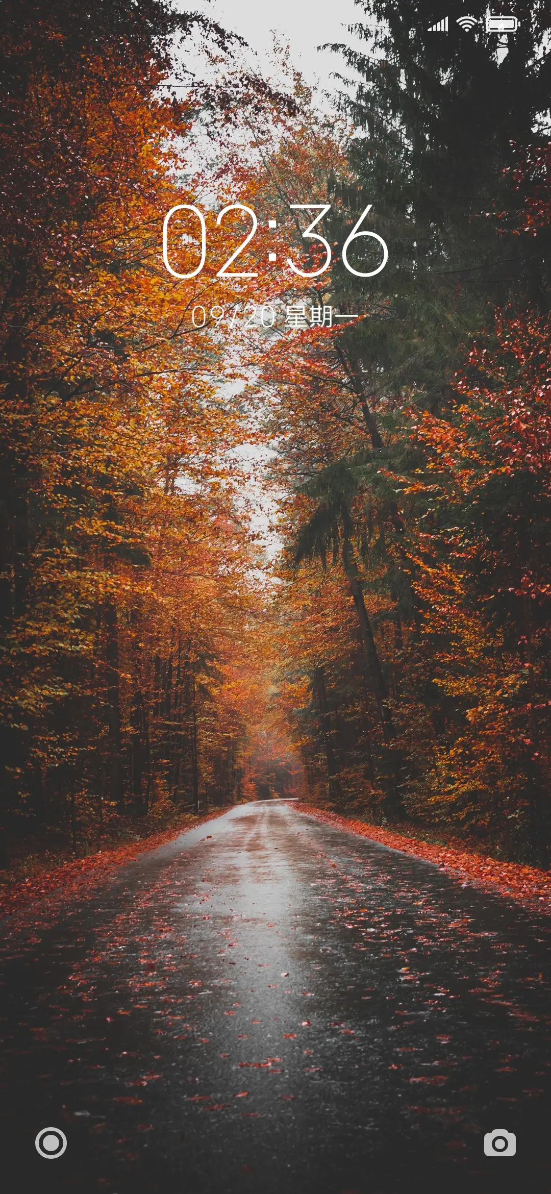 晚秋 - Screenshot 1