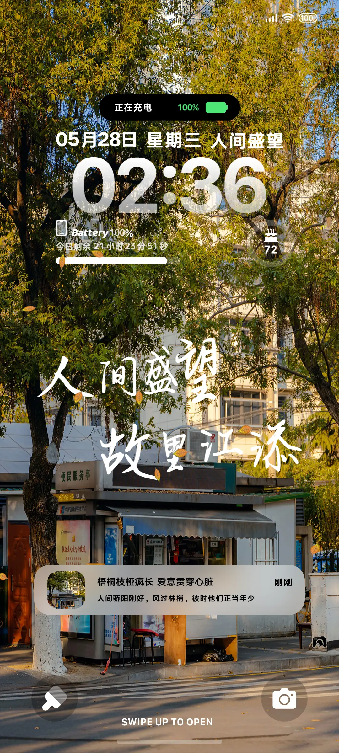 梧桐枝桠疯长 - Screenshot 2