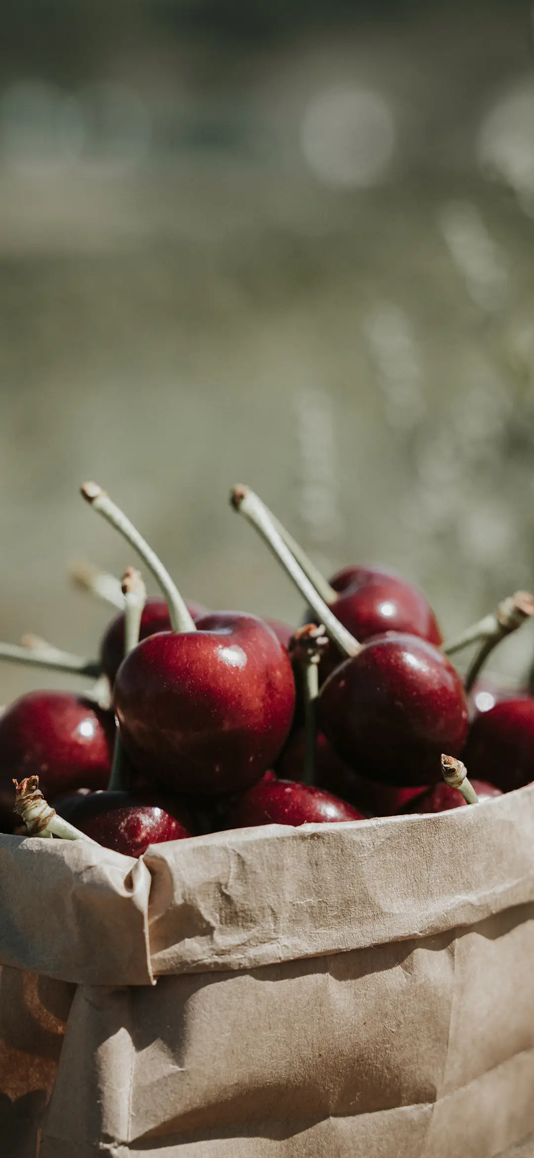 车厘子壁纸-锐景创意