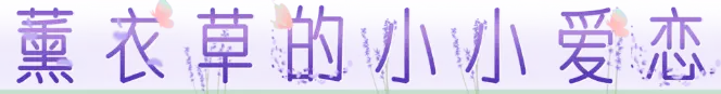 薰衣草的小小爱恋