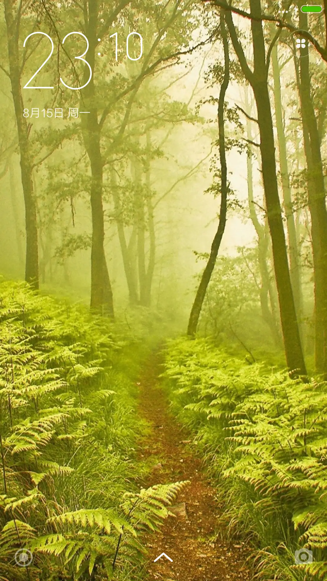（下载抽红包）梦幻树林