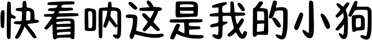 快看呐这是我的小狗