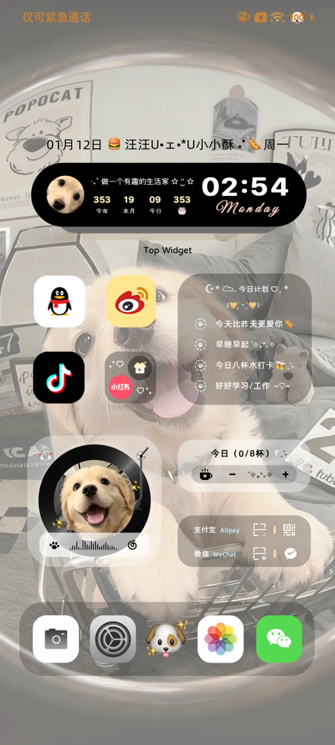 3D小金毛 自定义 - Screenshot 4