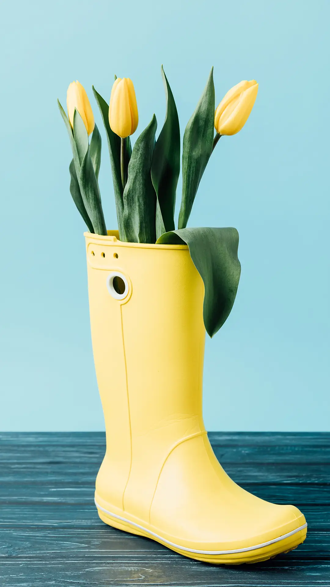 靴子花-拍信 - Screenshot 1