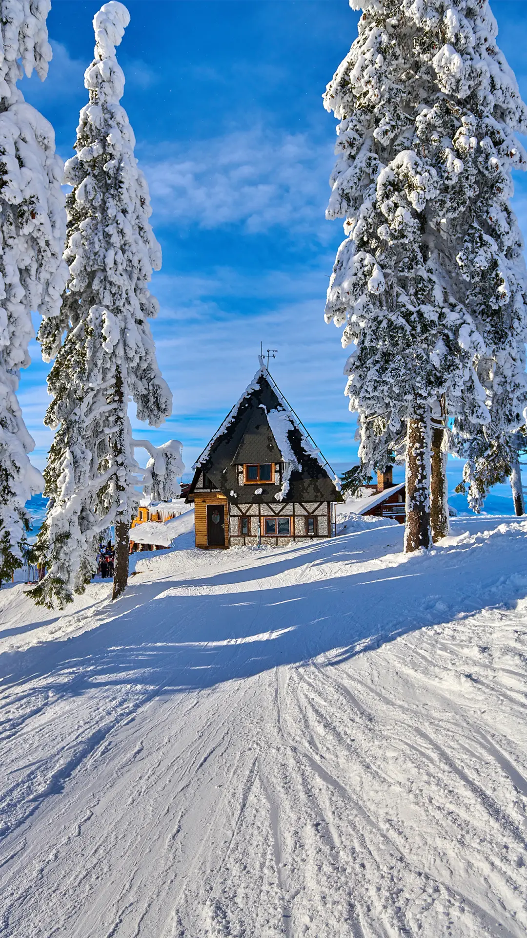 雪地风光-拍信图库