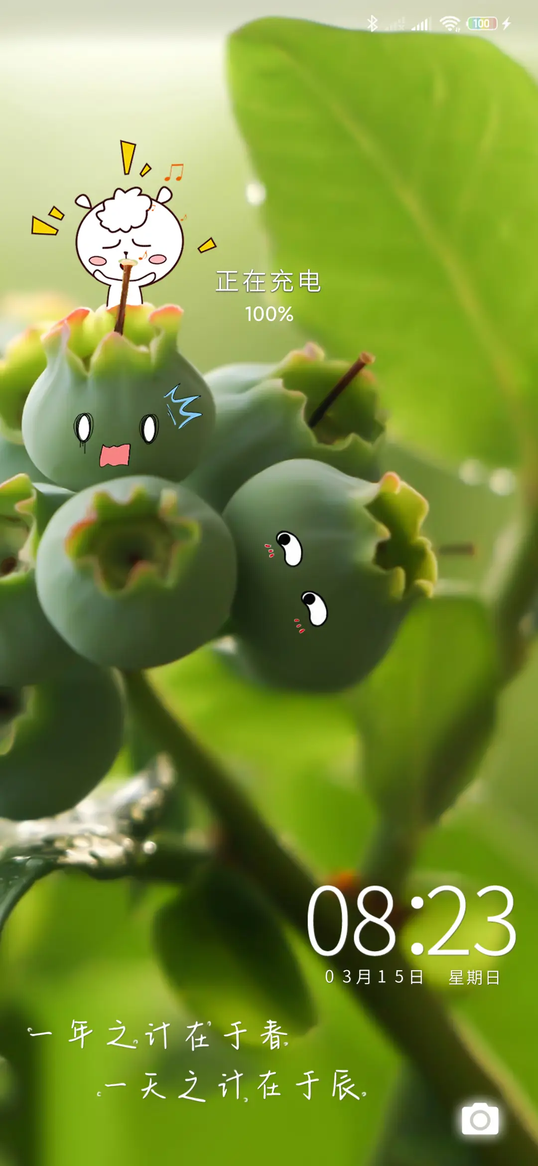 走进自然 清新护眼 THEME for Xiaomi MIUI HyperOS