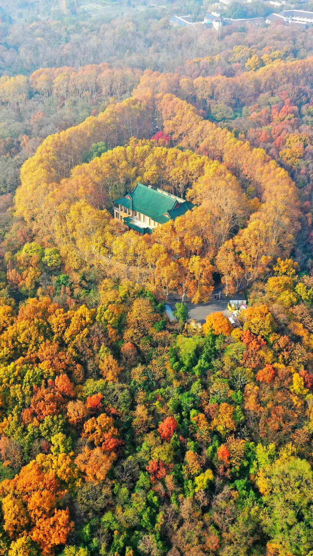 属于宋美龄的传世爱情