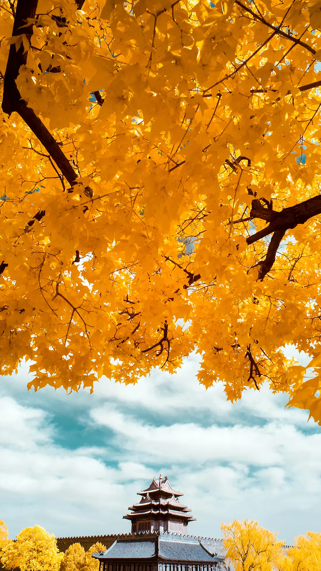 故宫角楼-视觉中国 