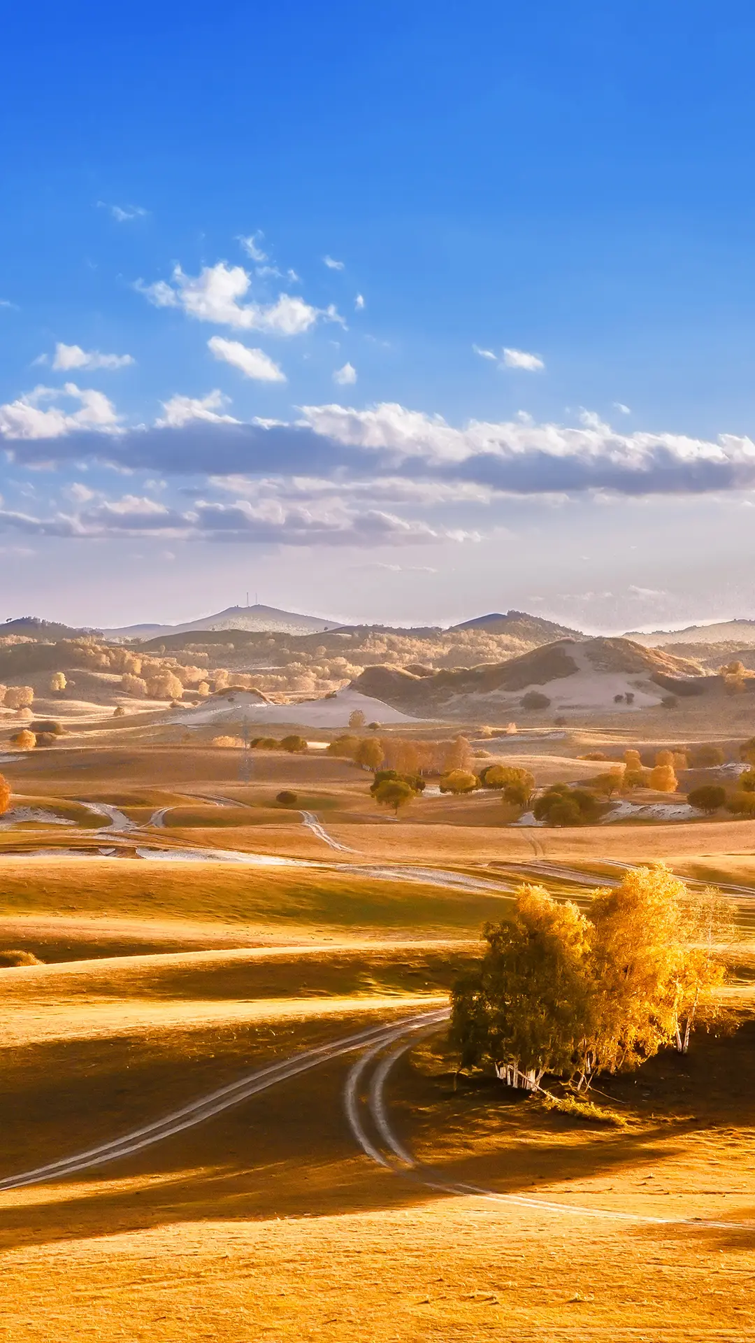 乌兰布统草原的金秋