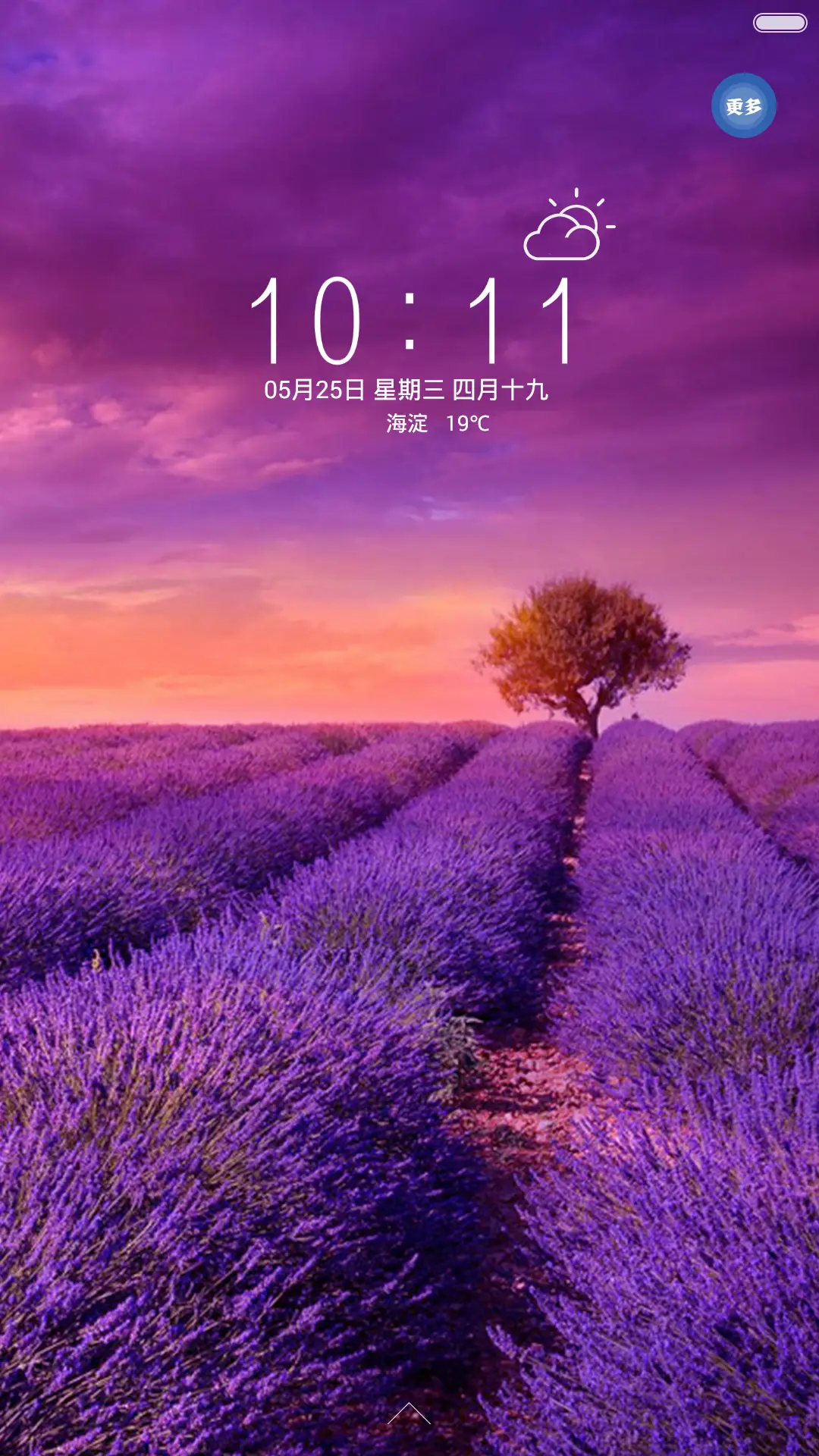 5D  紫色我的梦+好评返现