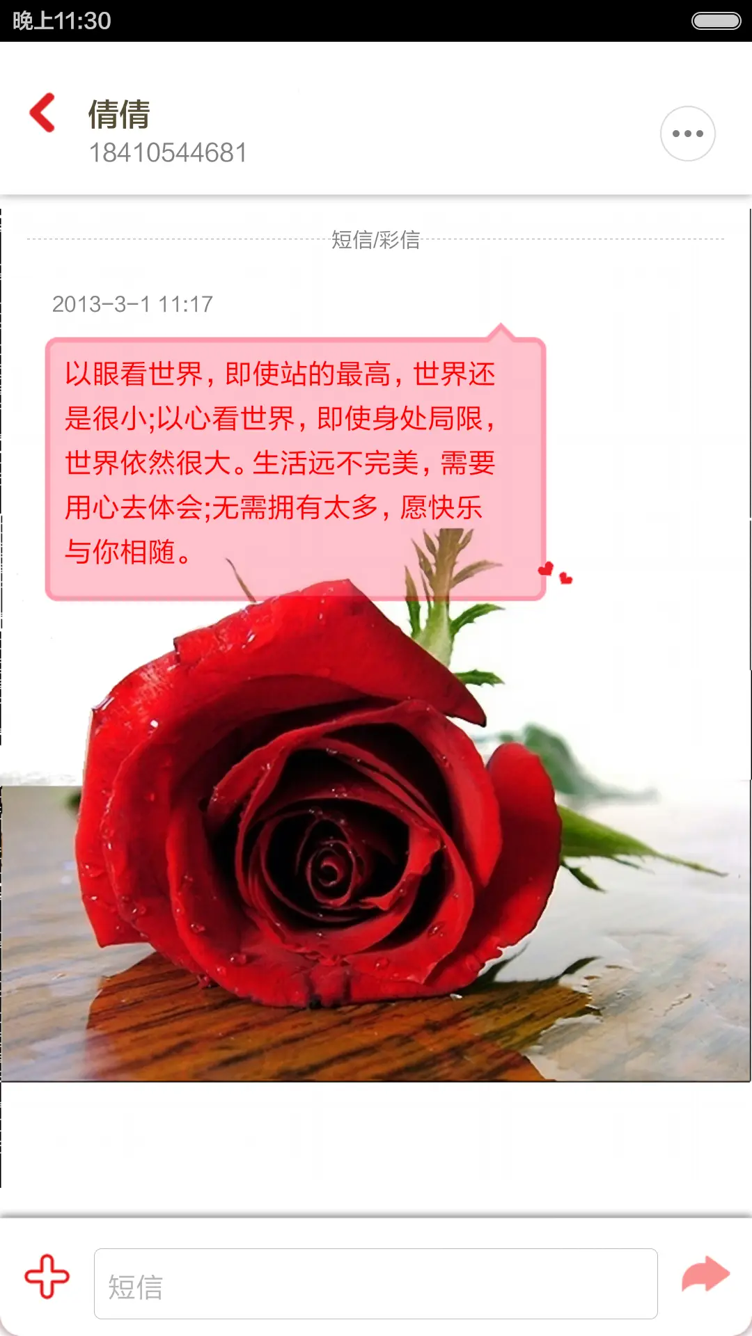 Spring Flower - Screenshot 6