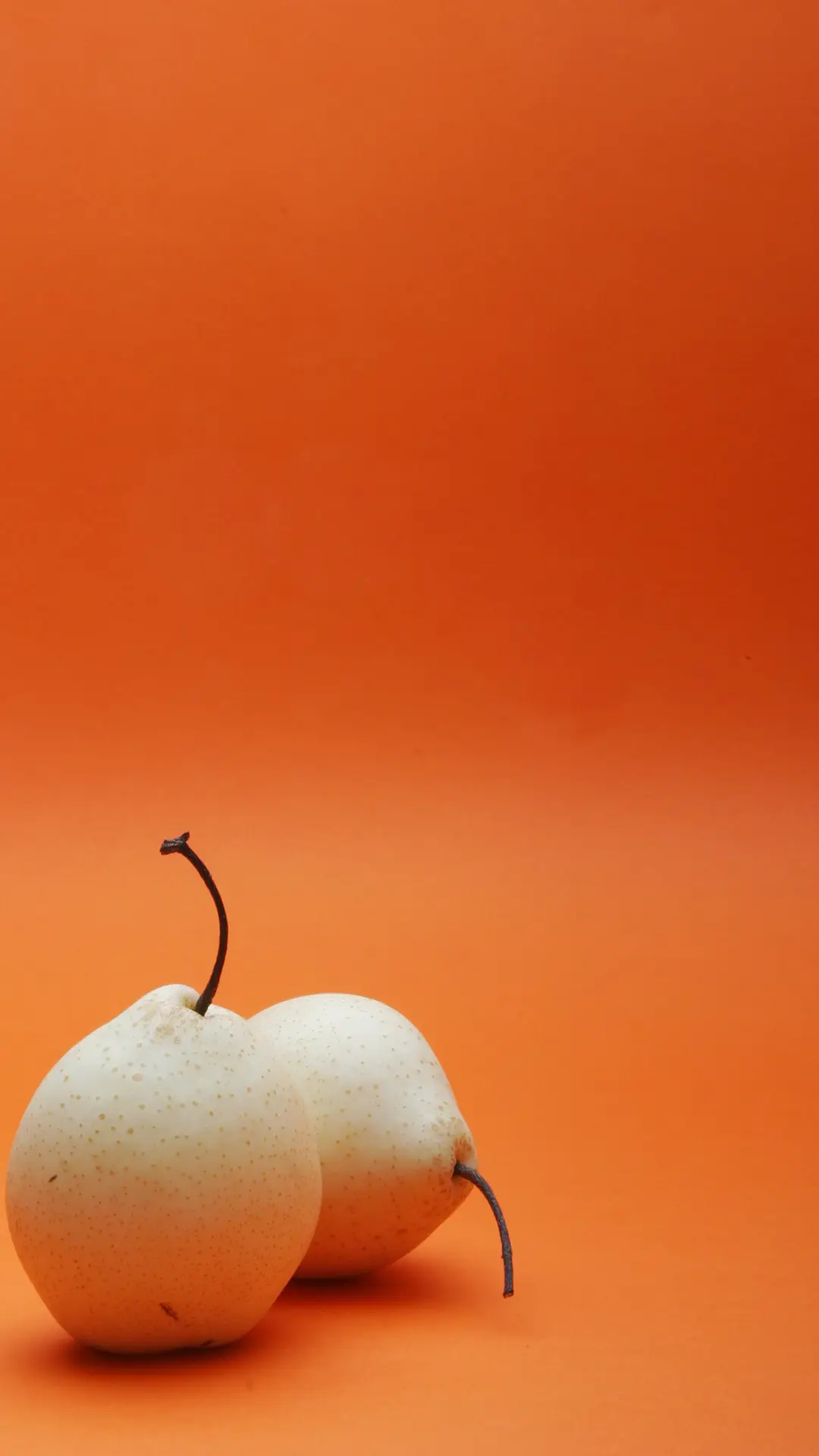 橙红时代-拍信图库