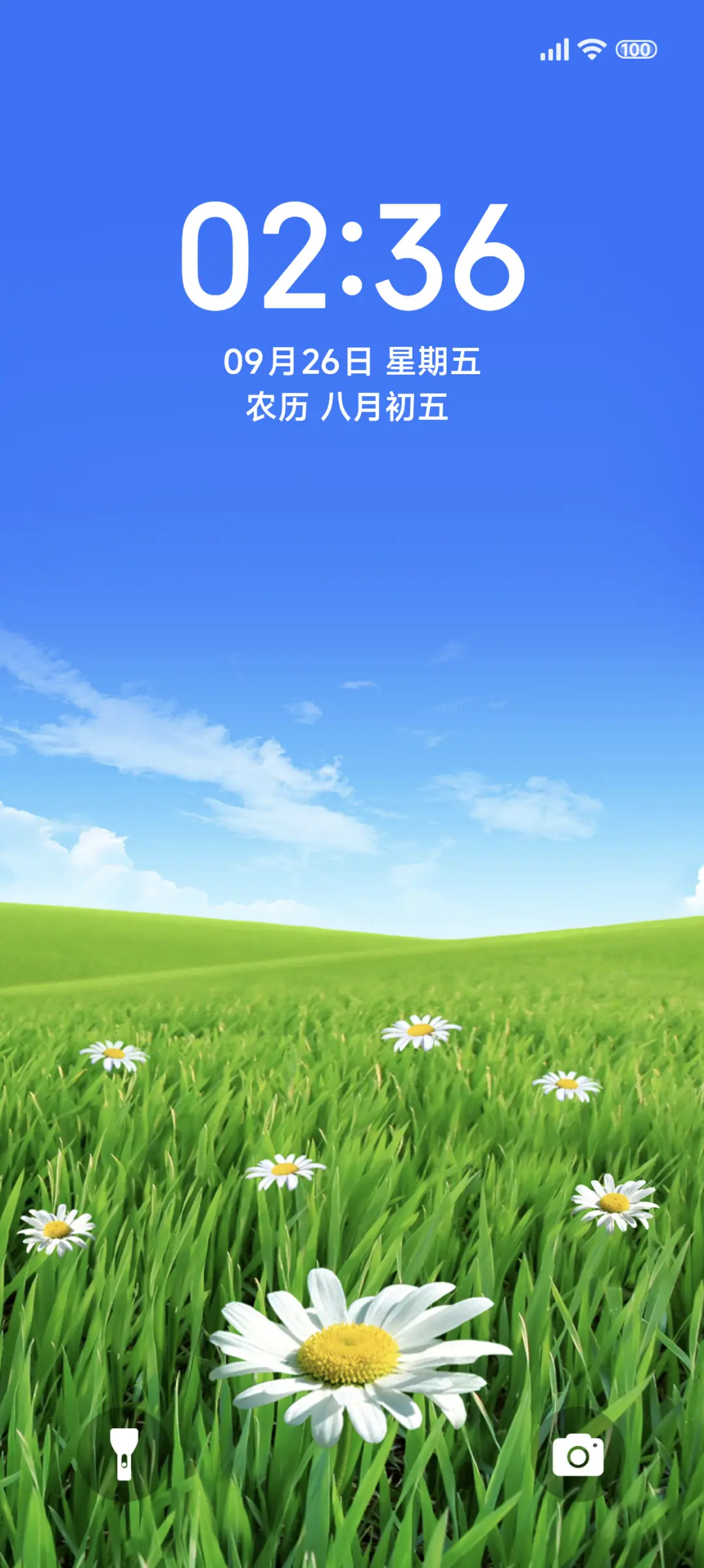 草地上清新的花 - Screenshot 1