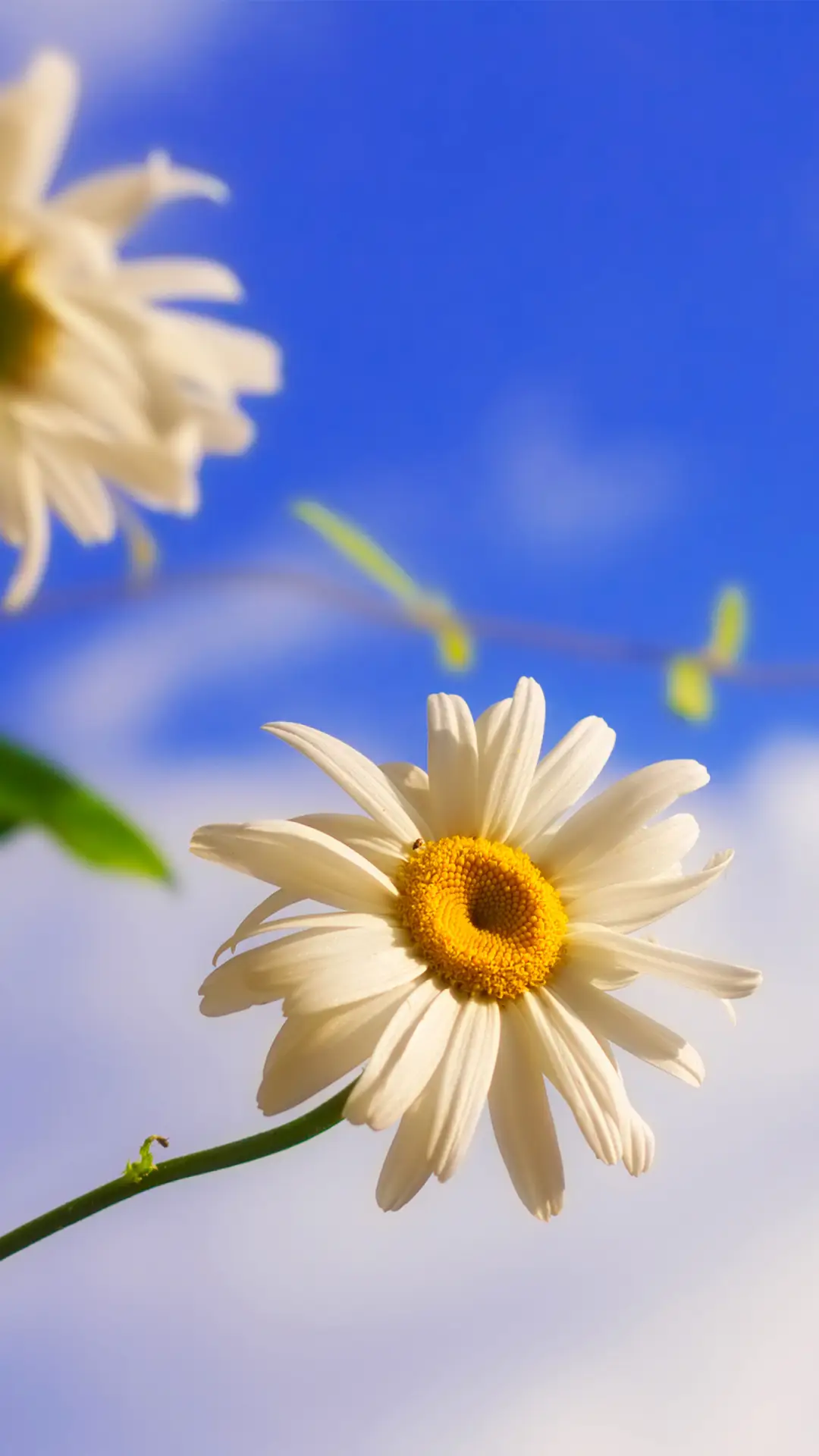 拥抱自然-拍信图库