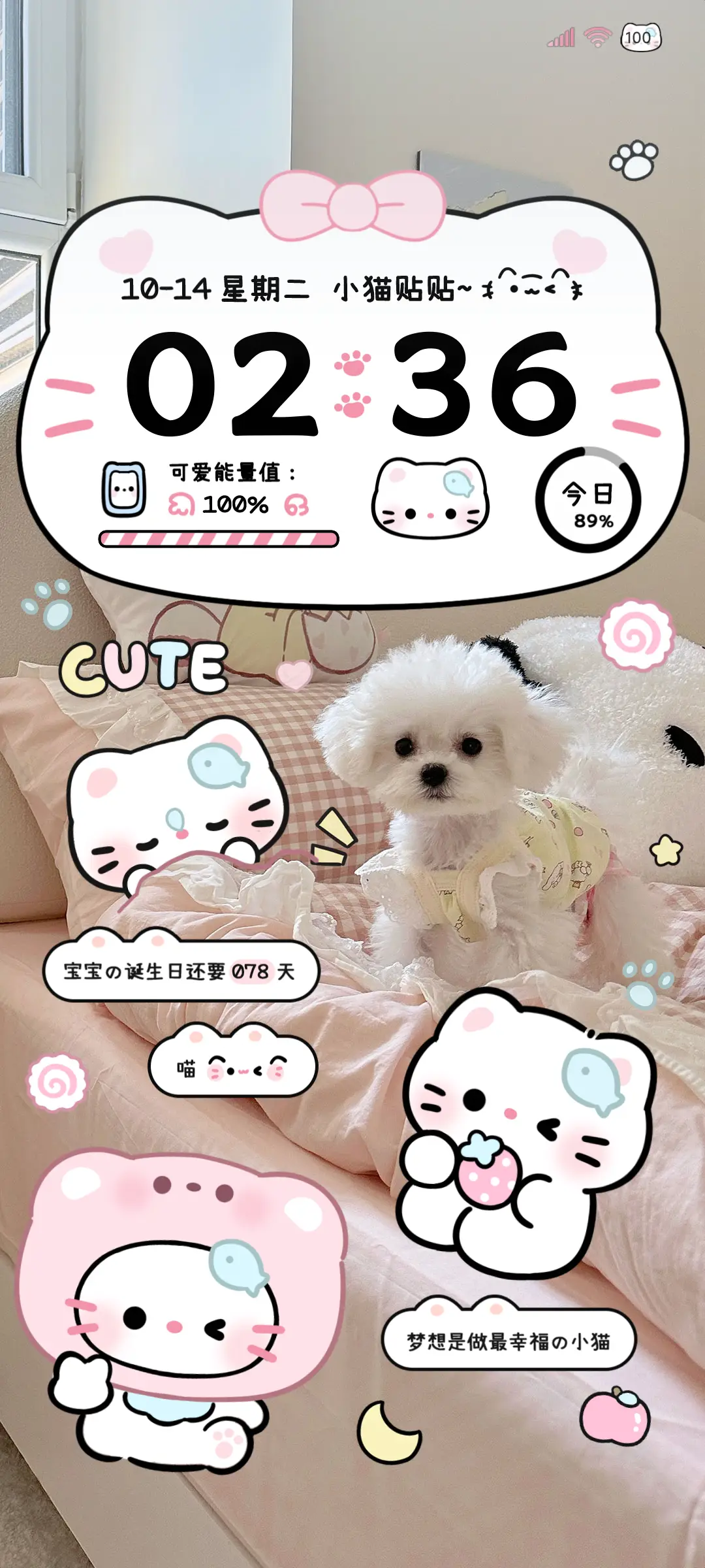 ins可爱小猫卧室