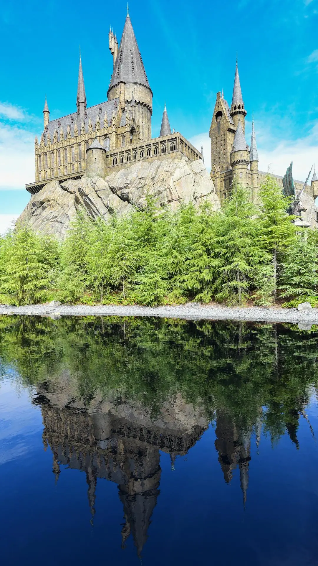 游乐园的奇妙旅行