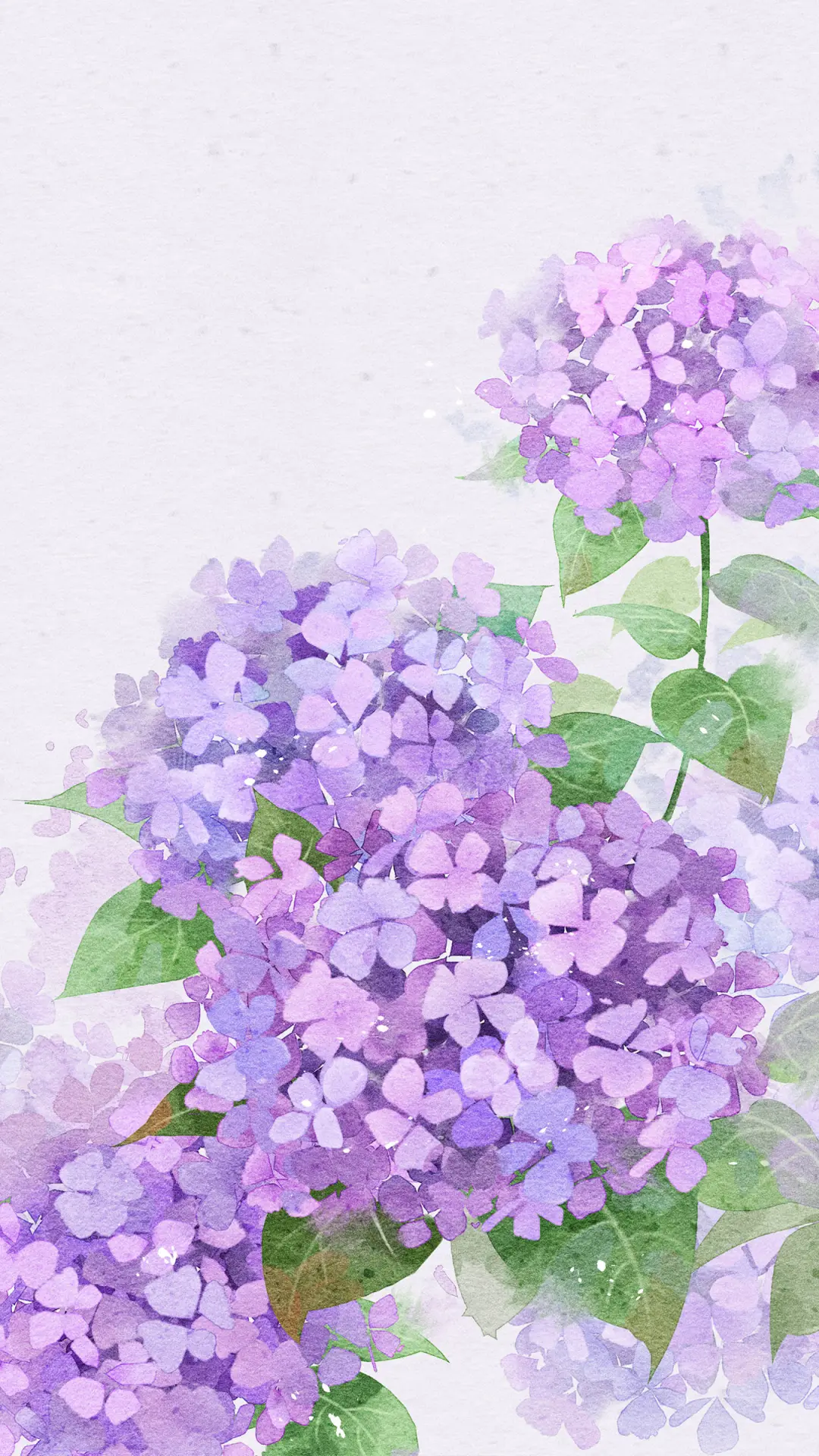 流淌在鲜花中的古韵