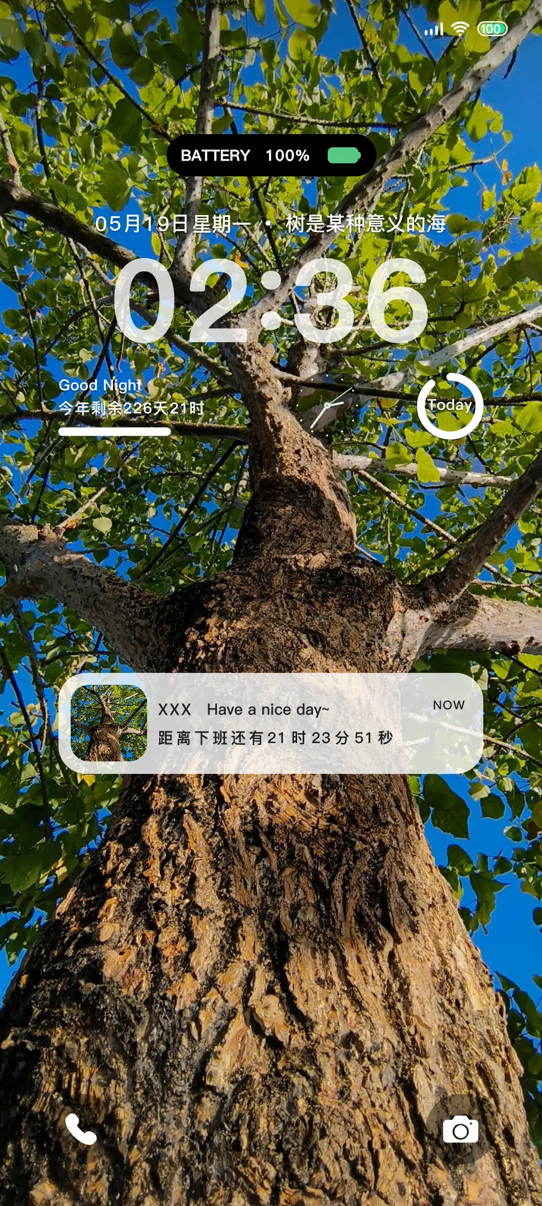 ins 梧桐树下 - Screenshot 2