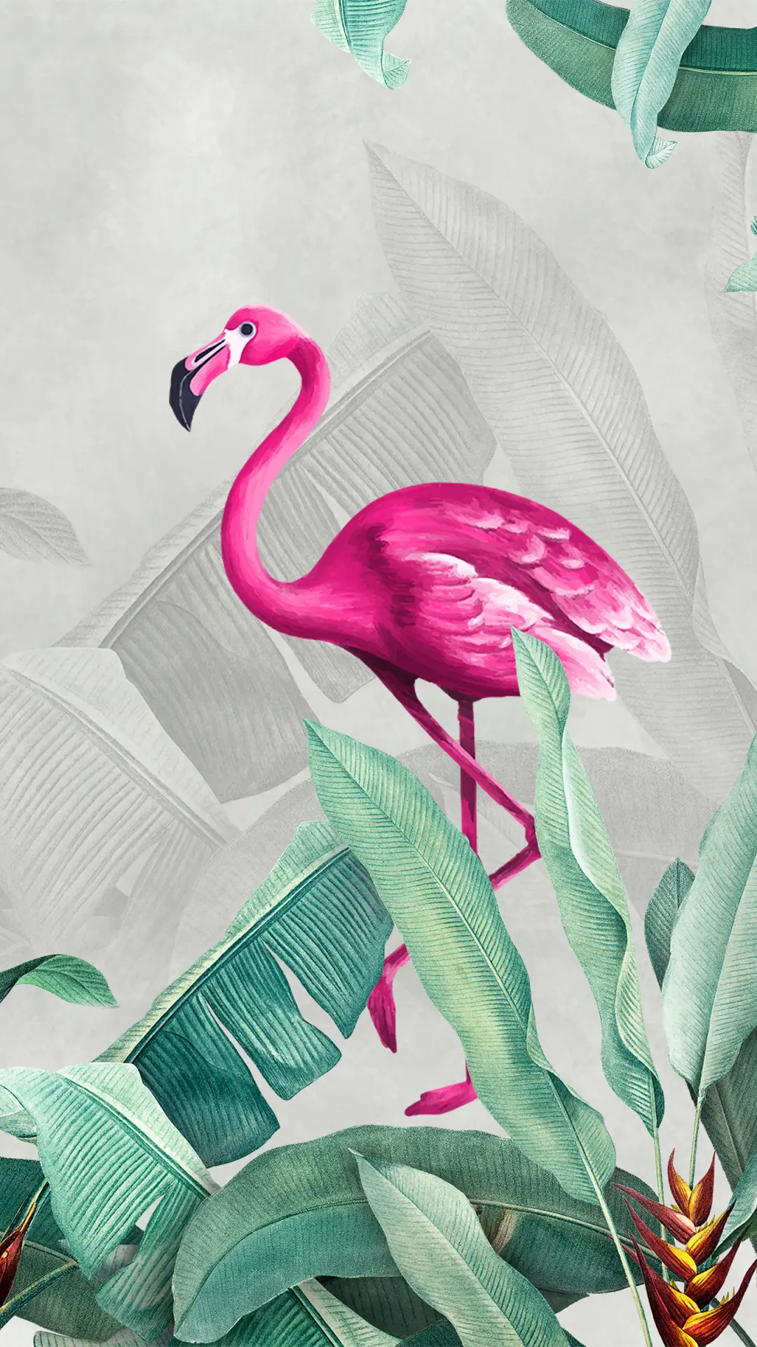 红红火火火烈鸟-拍信图库 - Screenshot 1