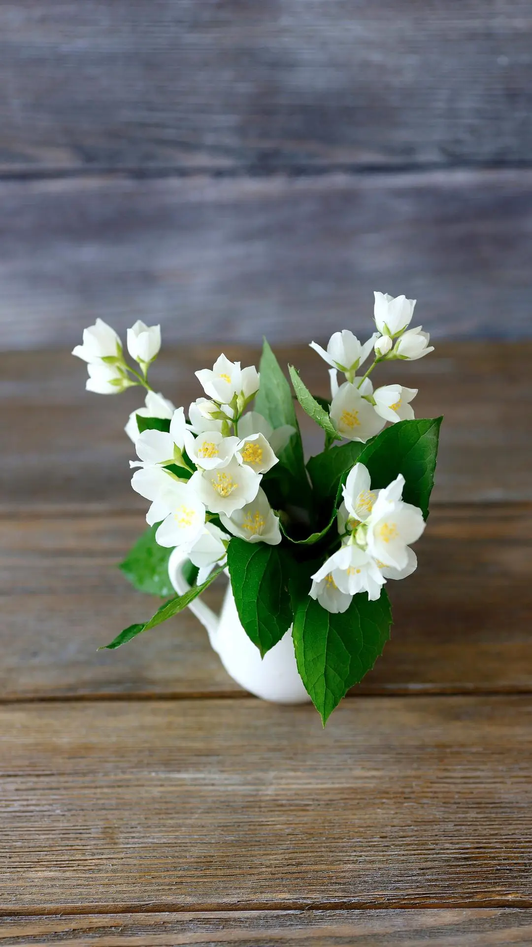 我终究是爱你的 - Screenshot 1