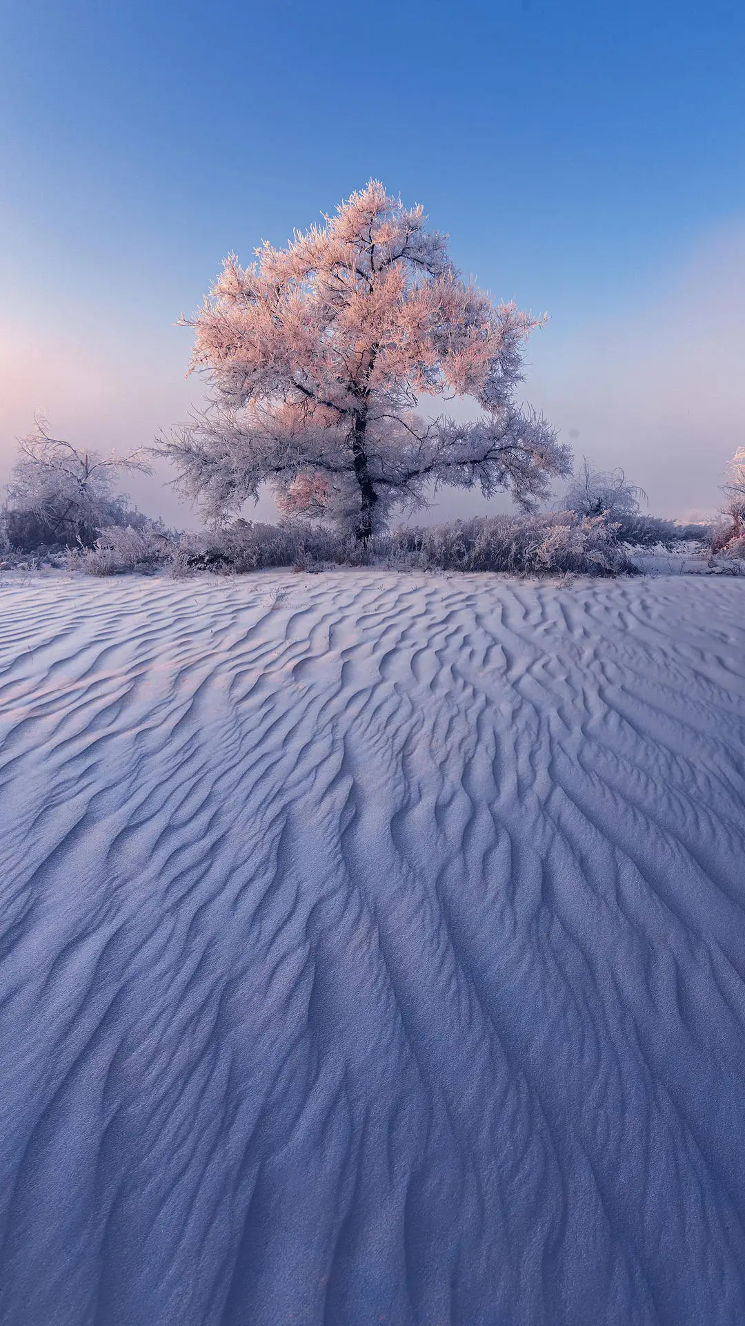 值得一去的冬季旅行地