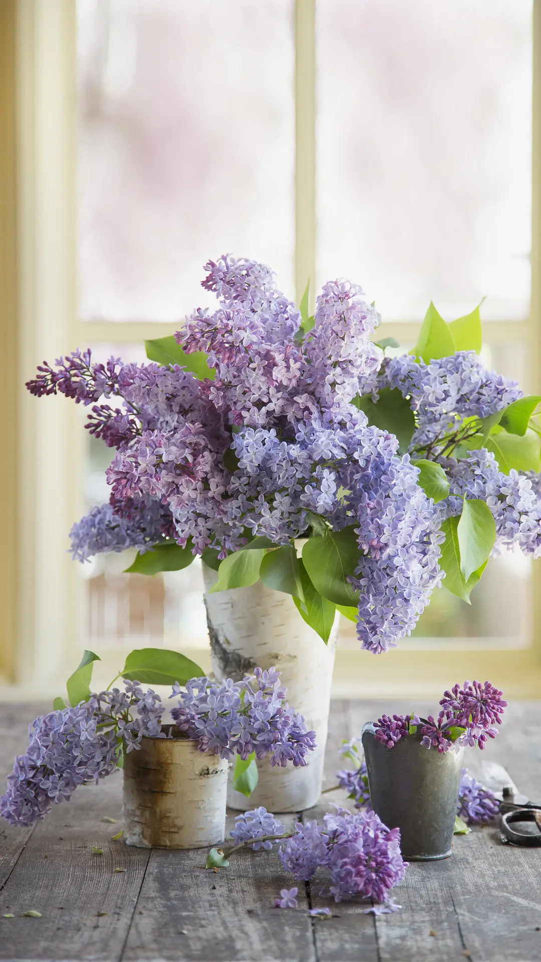 你说你最爱丁香花 - Screenshot 1