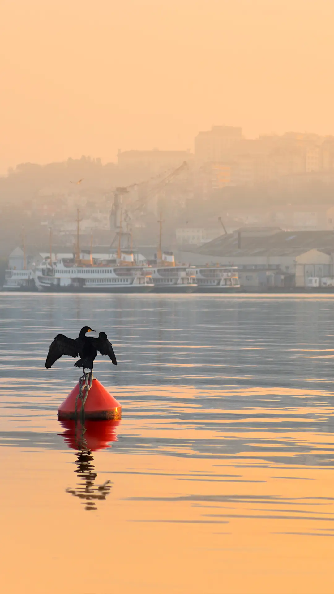 极简美学-拍信图库