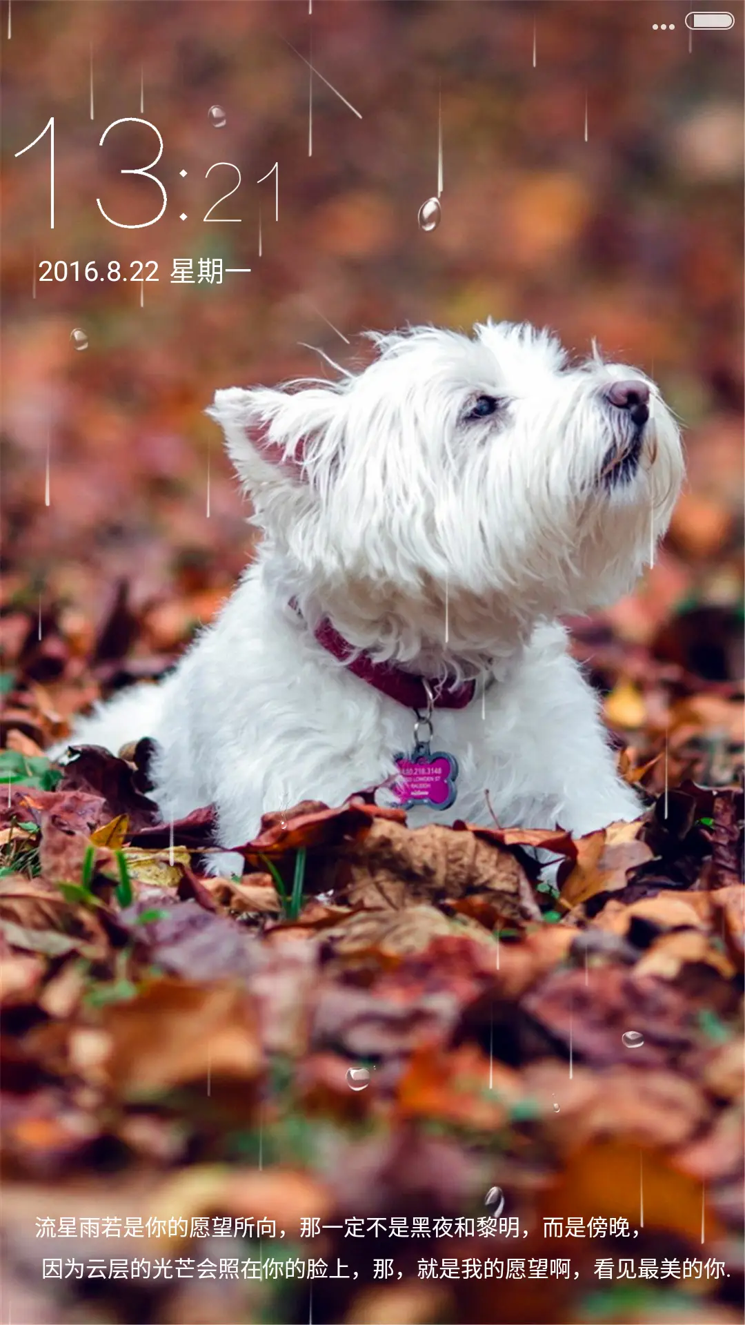 可爱萌宠动态4D锁屏