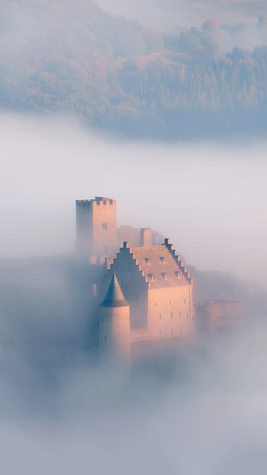 人生总是多彩的