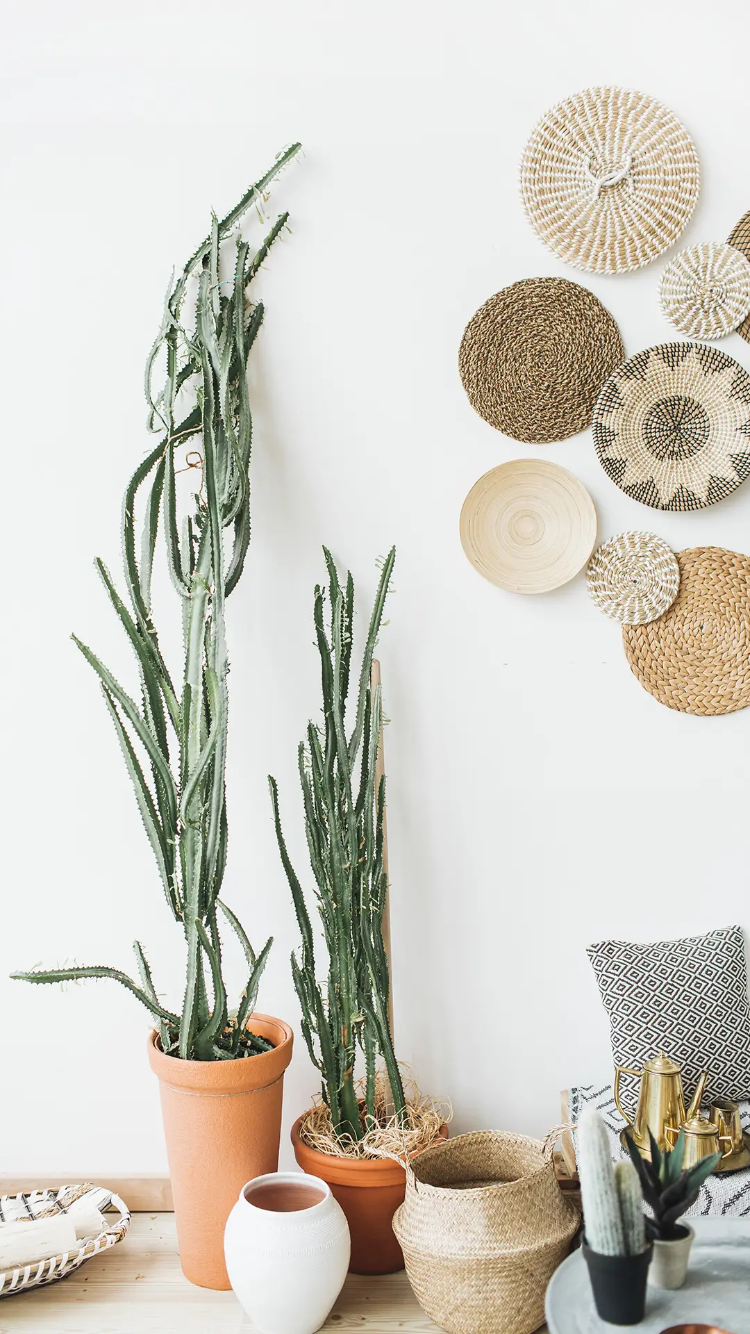 清新家居-锐景创意