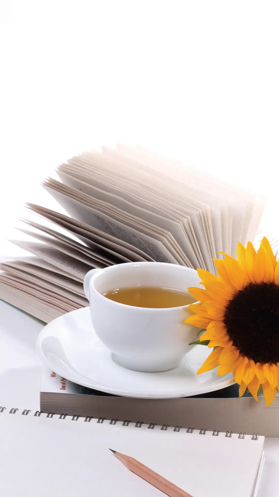 向日葵-视觉中国 (3)